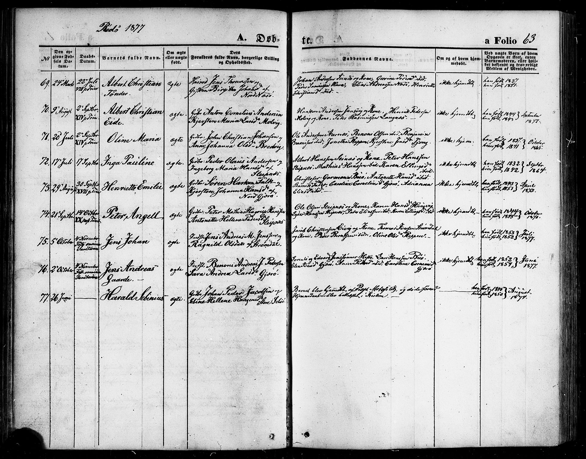 Ministerialprotokoller, klokkerbøker og fødselsregistre - Nordland, AV/SAT-A-1459/841/L0606: Parish register (official) no. 841A10, 1860-1877, p. 63