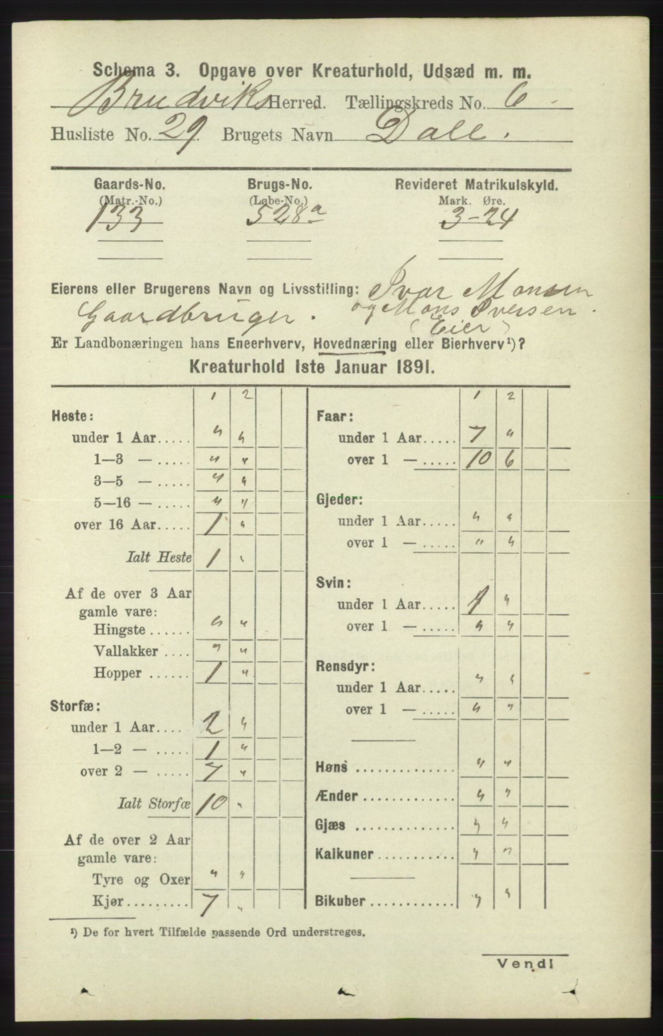 RA, 1891 census for 1251 Bruvik, 1891, p. 4614