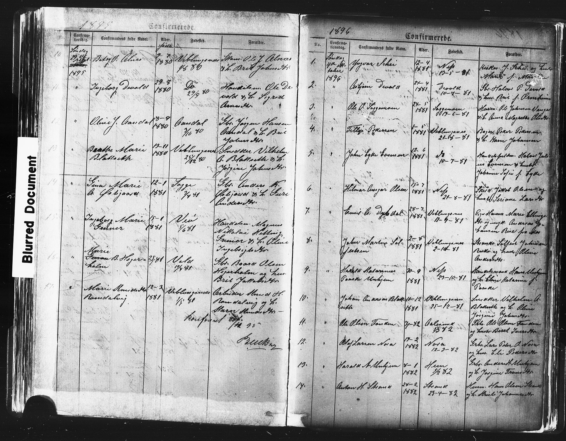 Ministerialprotokoller, klokkerbøker og fødselsregistre - Møre og Romsdal, AV/SAT-A-1454/544/L0580: Parish register (copy) no. 544C02, 1867-1909, p. 173