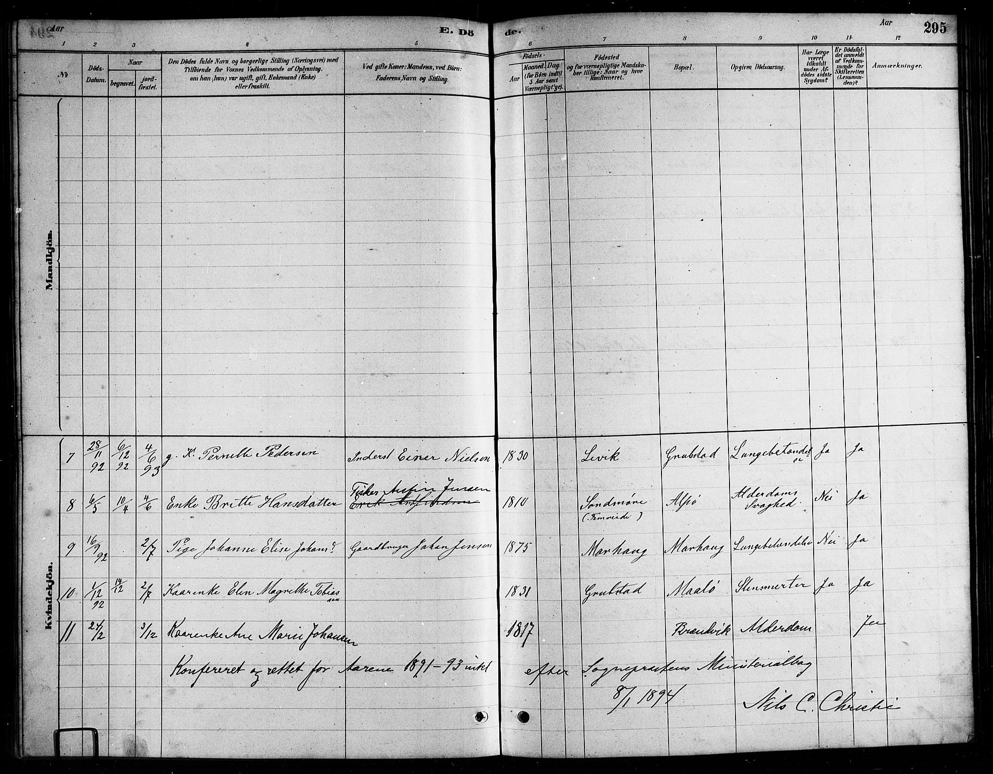 Ministerialprotokoller, klokkerbøker og fødselsregistre - Nordland, AV/SAT-A-1459/857/L0828: Parish register (copy) no. 857C03, 1879-1908, p. 295