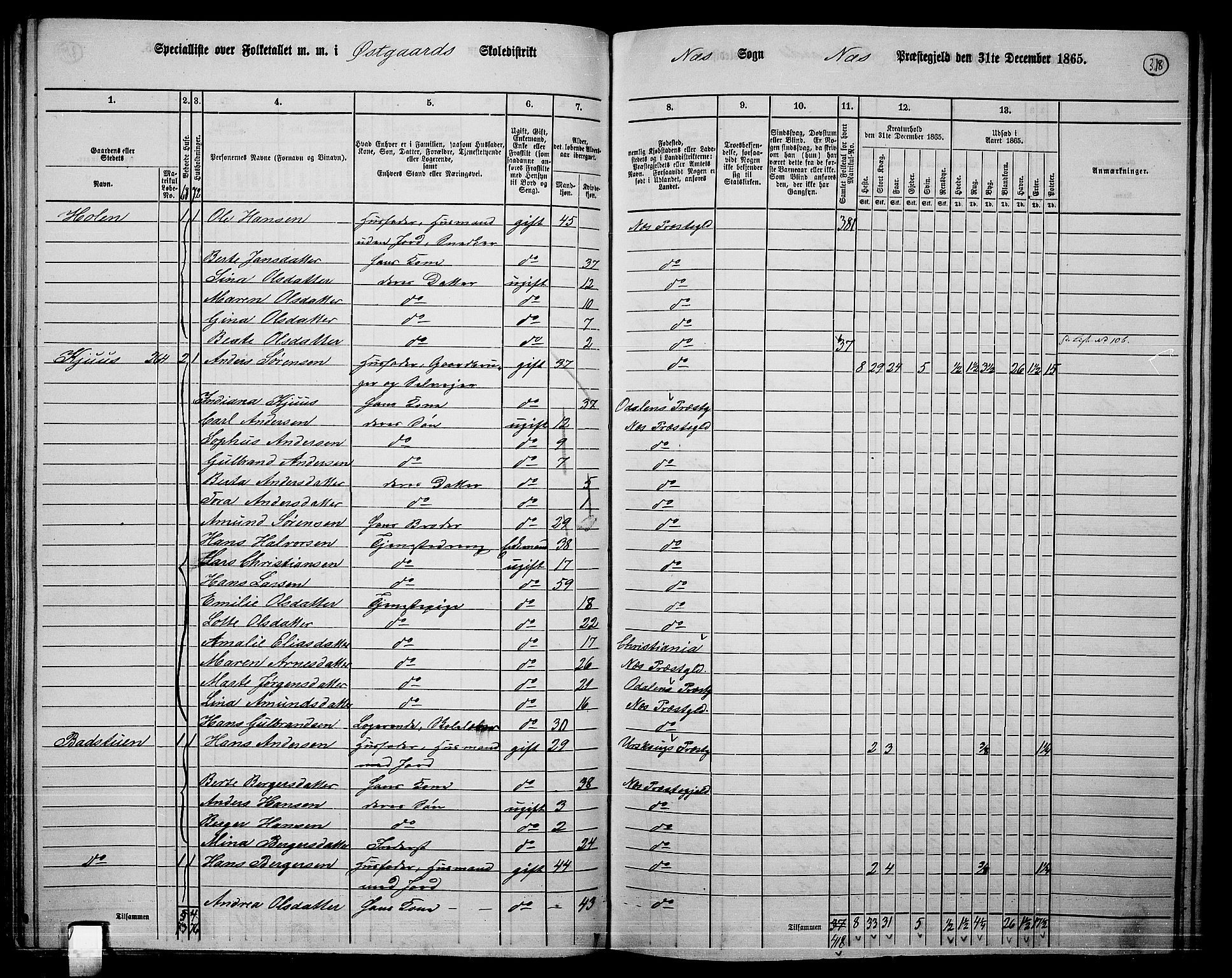 RA, 1865 census for Nes, 1865, p. 293