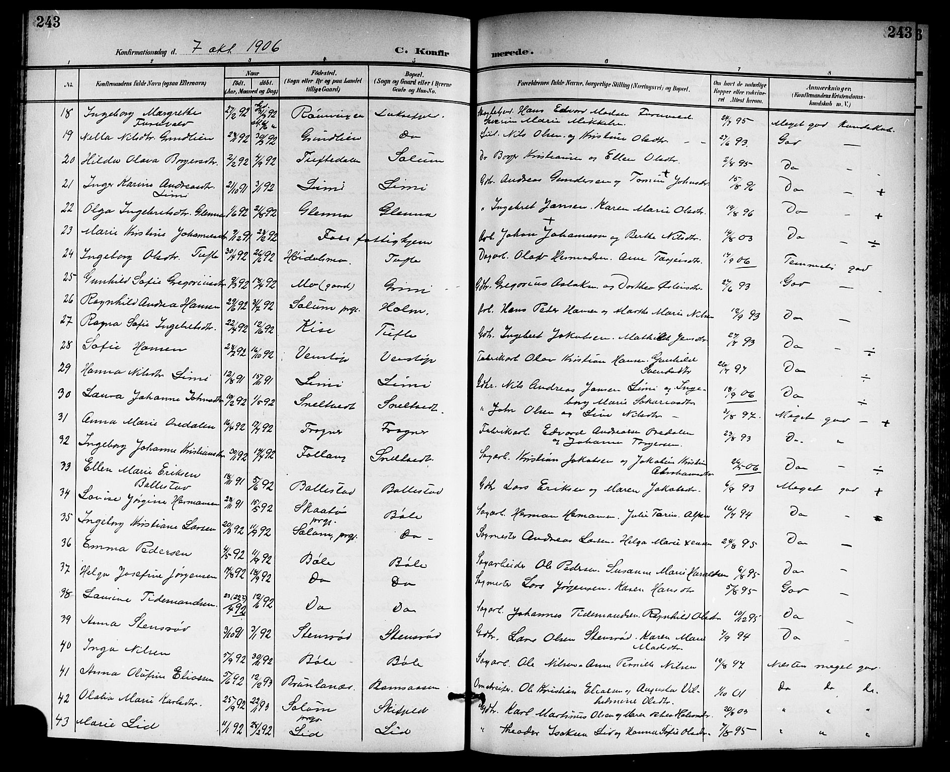 Gjerpen kirkebøker, SAKO/A-265/G/Ga/L0003: Parish register (copy) no. I 3, 1901-1919, p. 243