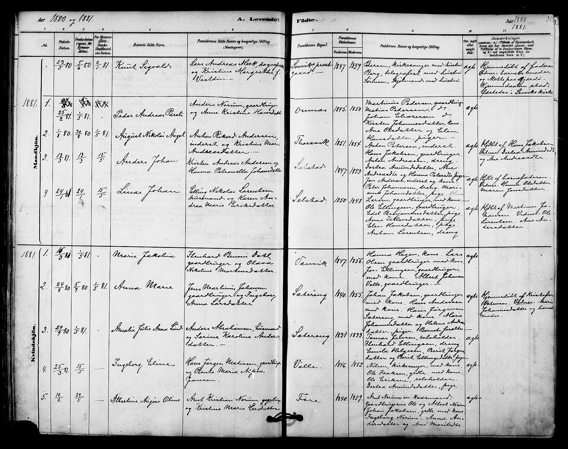 Ministerialprotokoller, klokkerbøker og fødselsregistre - Nordland, SAT/A-1459/843/L0626: Parish register (official) no. 843A01, 1878-1907, p. 32