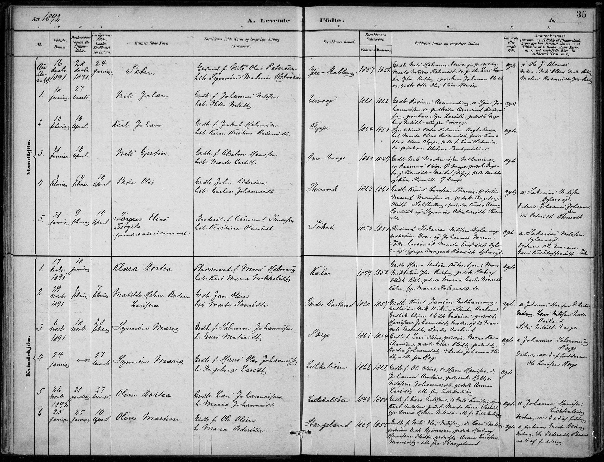 Sund sokneprestembete, AV/SAB-A-99930: Parish register (official) no. D 1, 1882-1899, p. 35