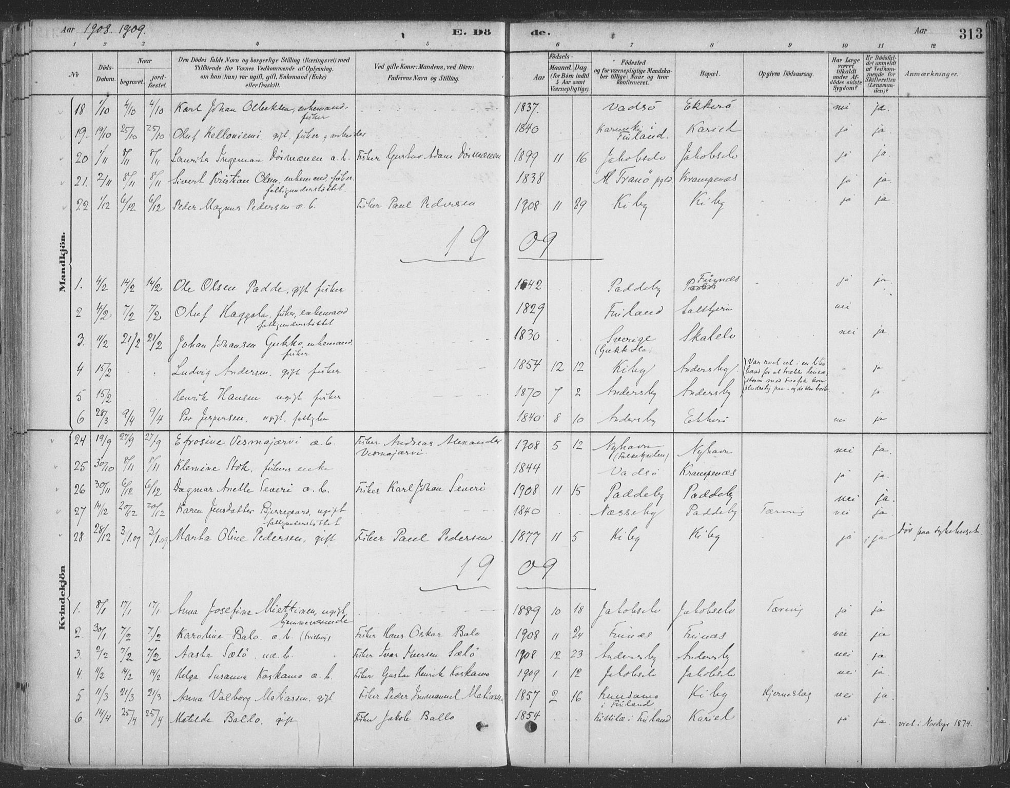 Vadsø sokneprestkontor, SATØ/S-1325/H/Ha/L0009kirke: Parish register (official) no. 9, 1881-1917, p. 313
