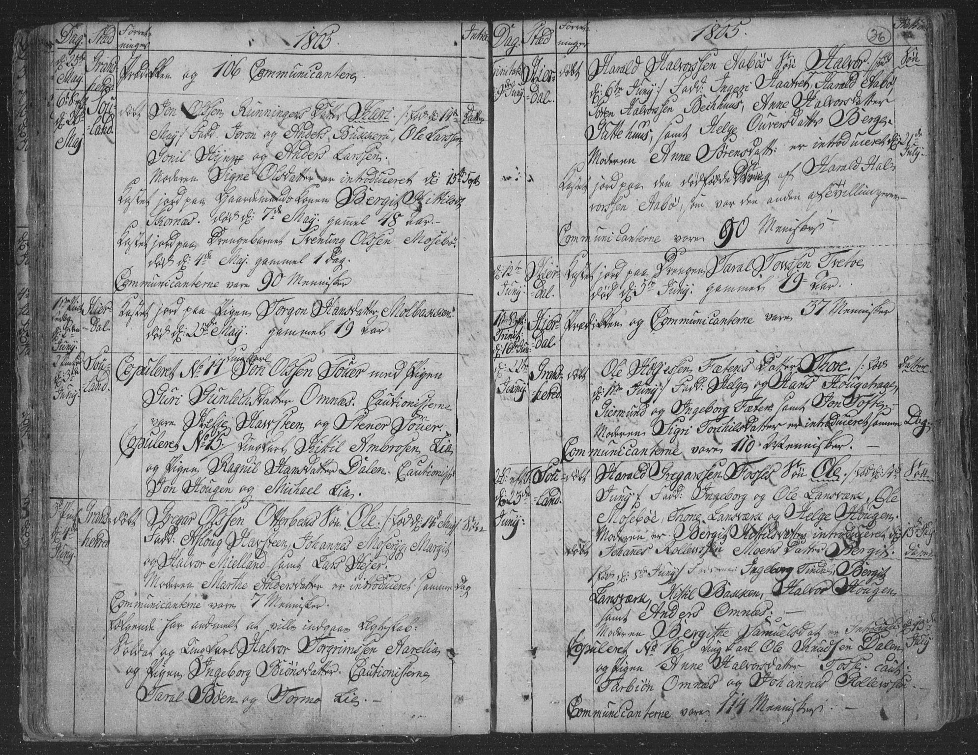 Hjartdal kirkebøker, AV/SAKO-A-270/F/Fa/L0006: Parish register (official) no. I 6, 1801-1814, p. 36