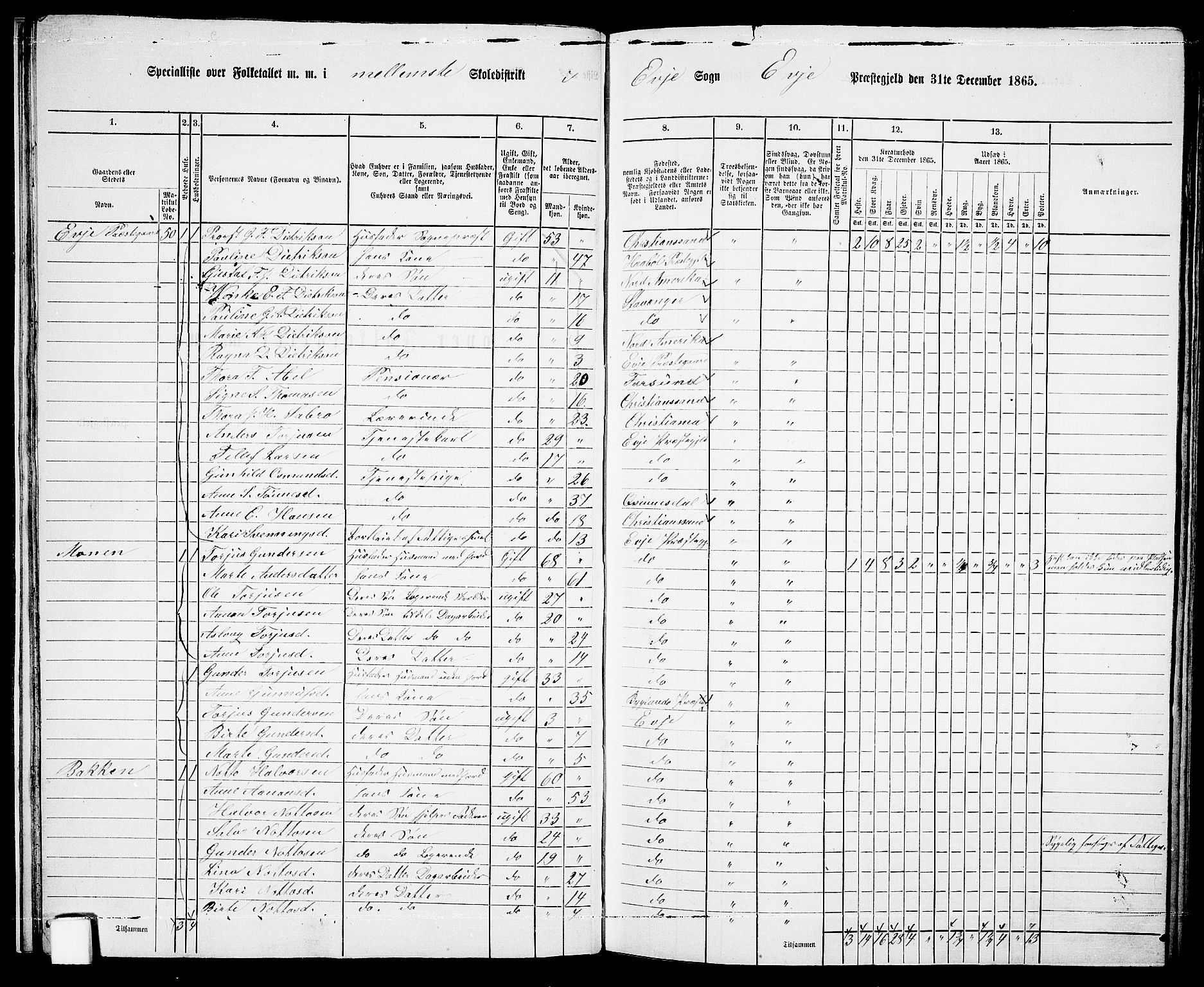 RA, 1865 census for Evje, 1865, p. 22