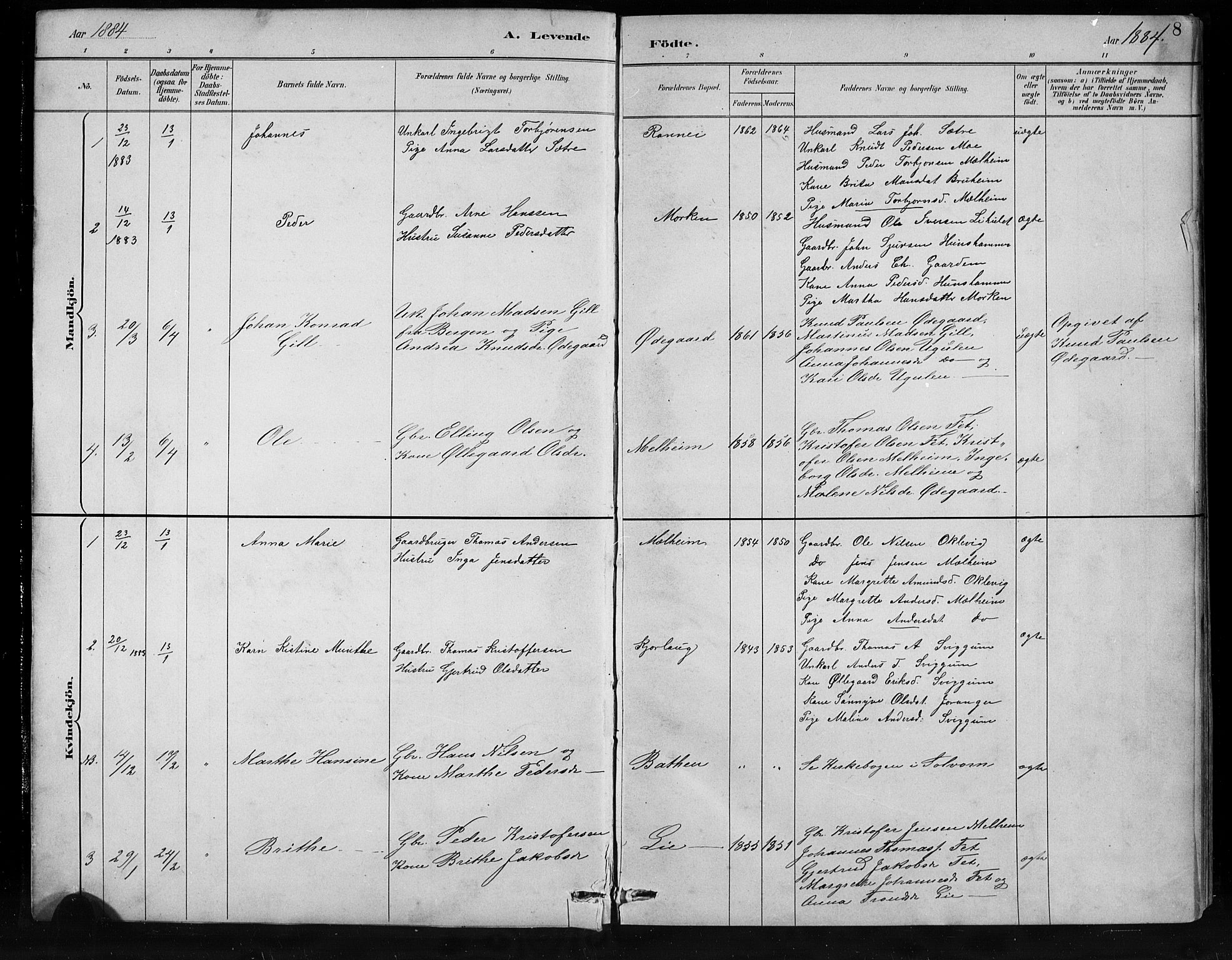 Jostedal sokneprestembete, SAB/A-80601/H/Hab/Habb/L0001: Parish register (copy) no. B 1, 1882-1921, p. 8