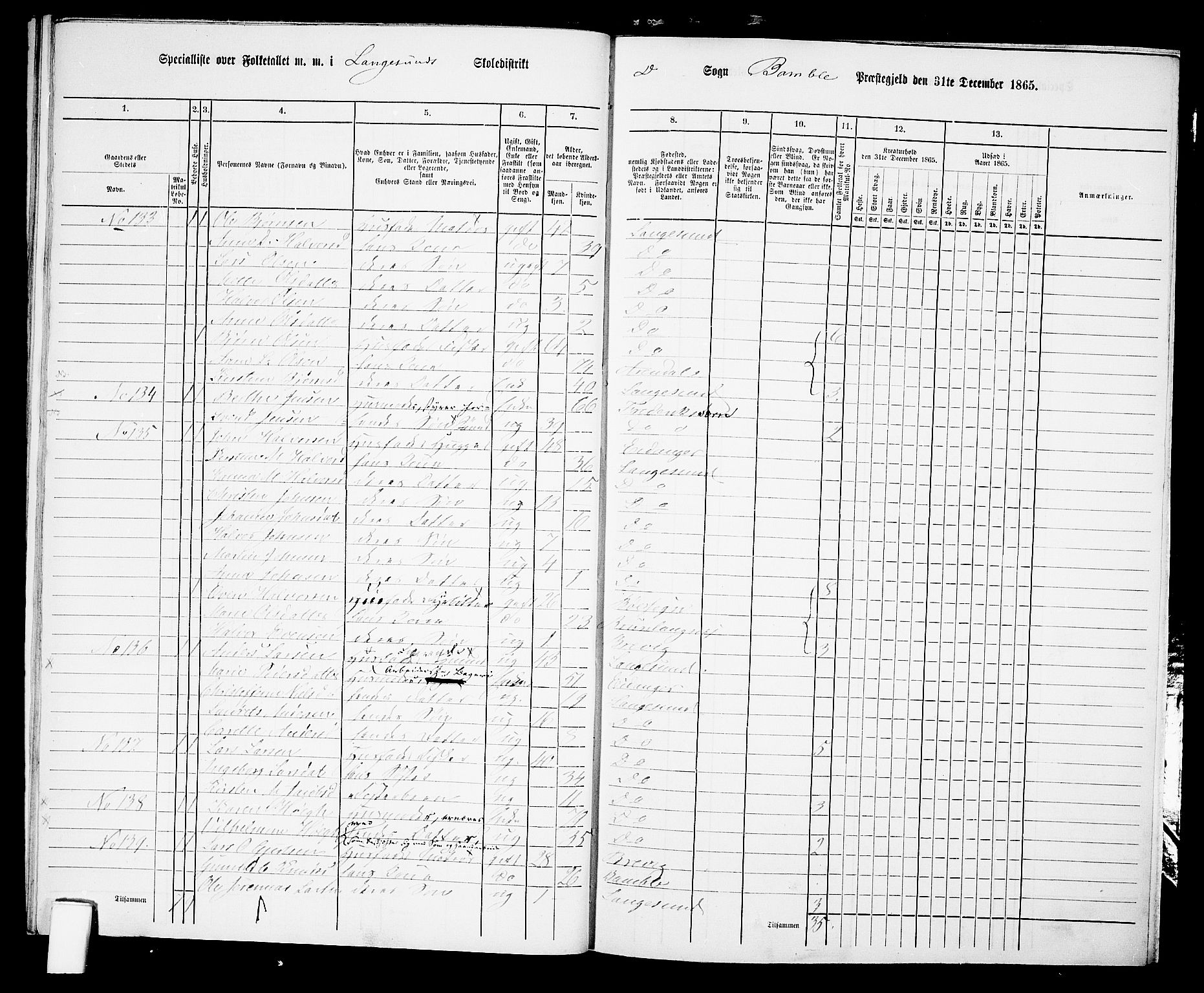 RA, 1865 census for Bamble, 1865, p. 217