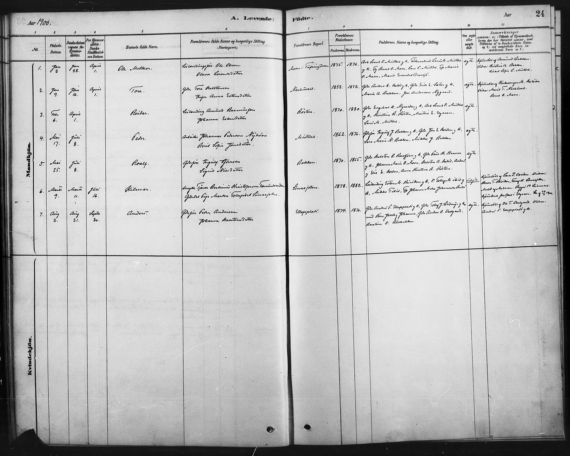 Tolga prestekontor, SAH/PREST-062/K/L0007: Parish register (official) no. 7, 1877-1900, p. 24