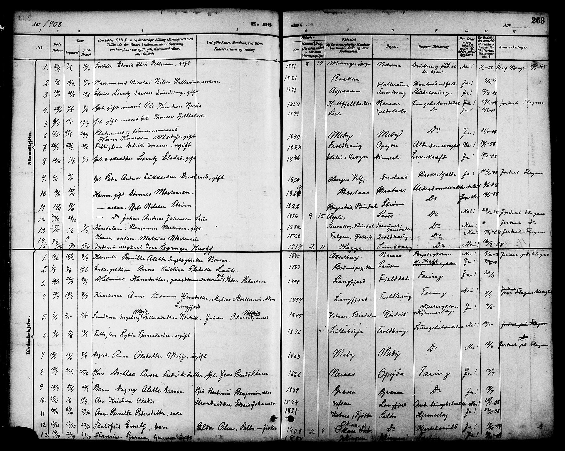 Ministerialprotokoller, klokkerbøker og fødselsregistre - Nordland, AV/SAT-A-1459/814/L0230: Parish register (copy) no. 814C03, 1884-1911, p. 263