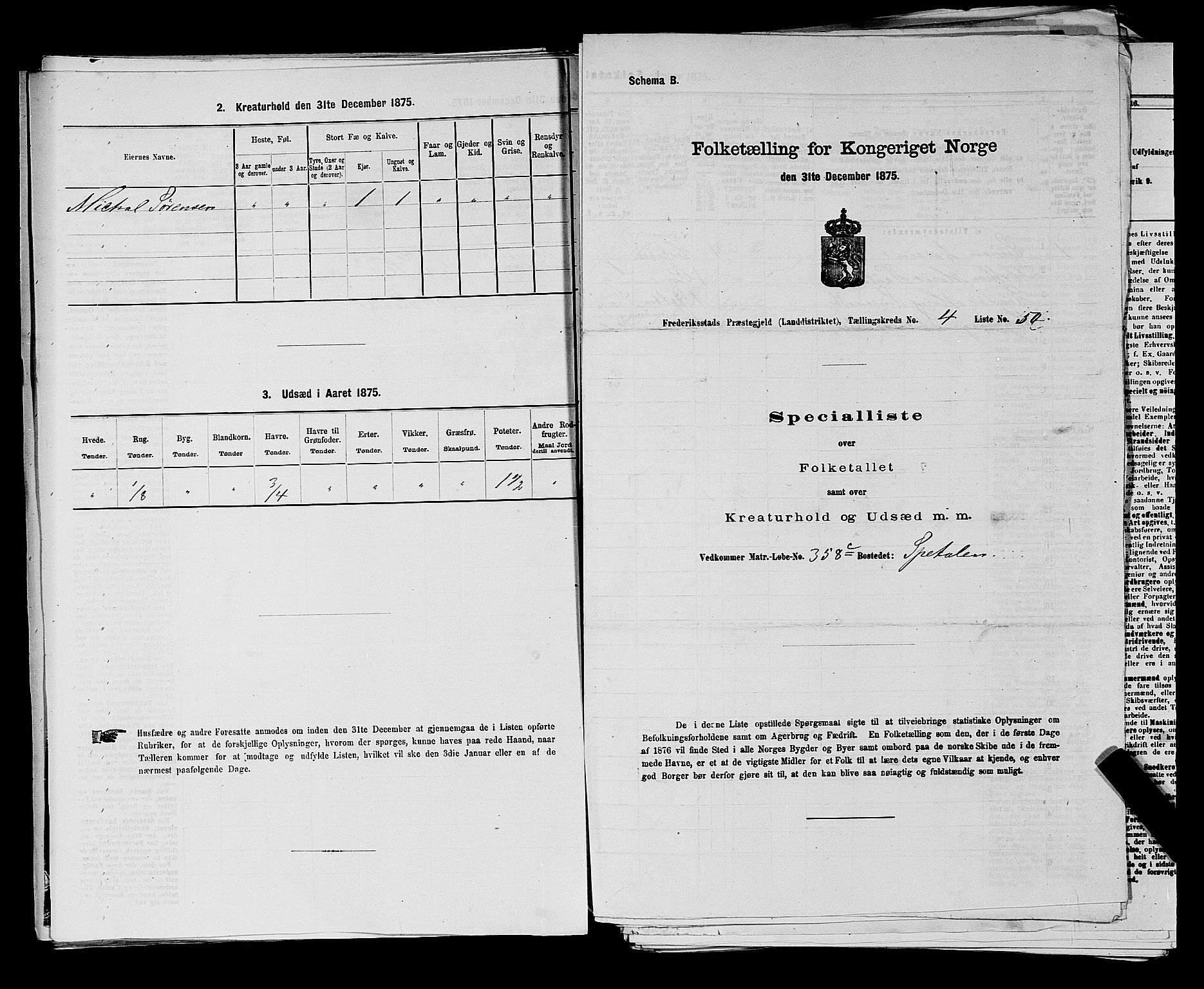 RA, 1875 census for 0132L Fredrikstad/Glemmen, 1875, p. 896