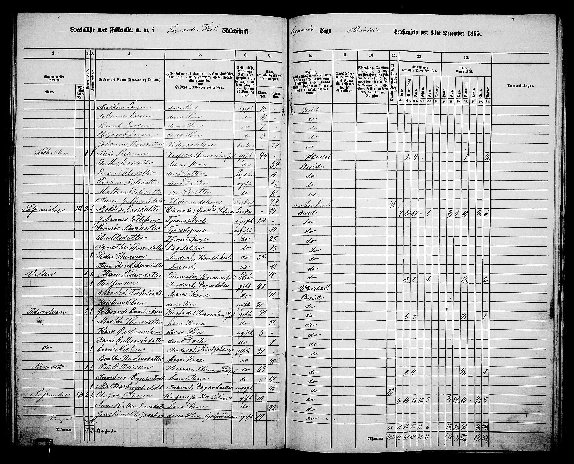 RA, 1865 census for Biri, 1865, p. 163