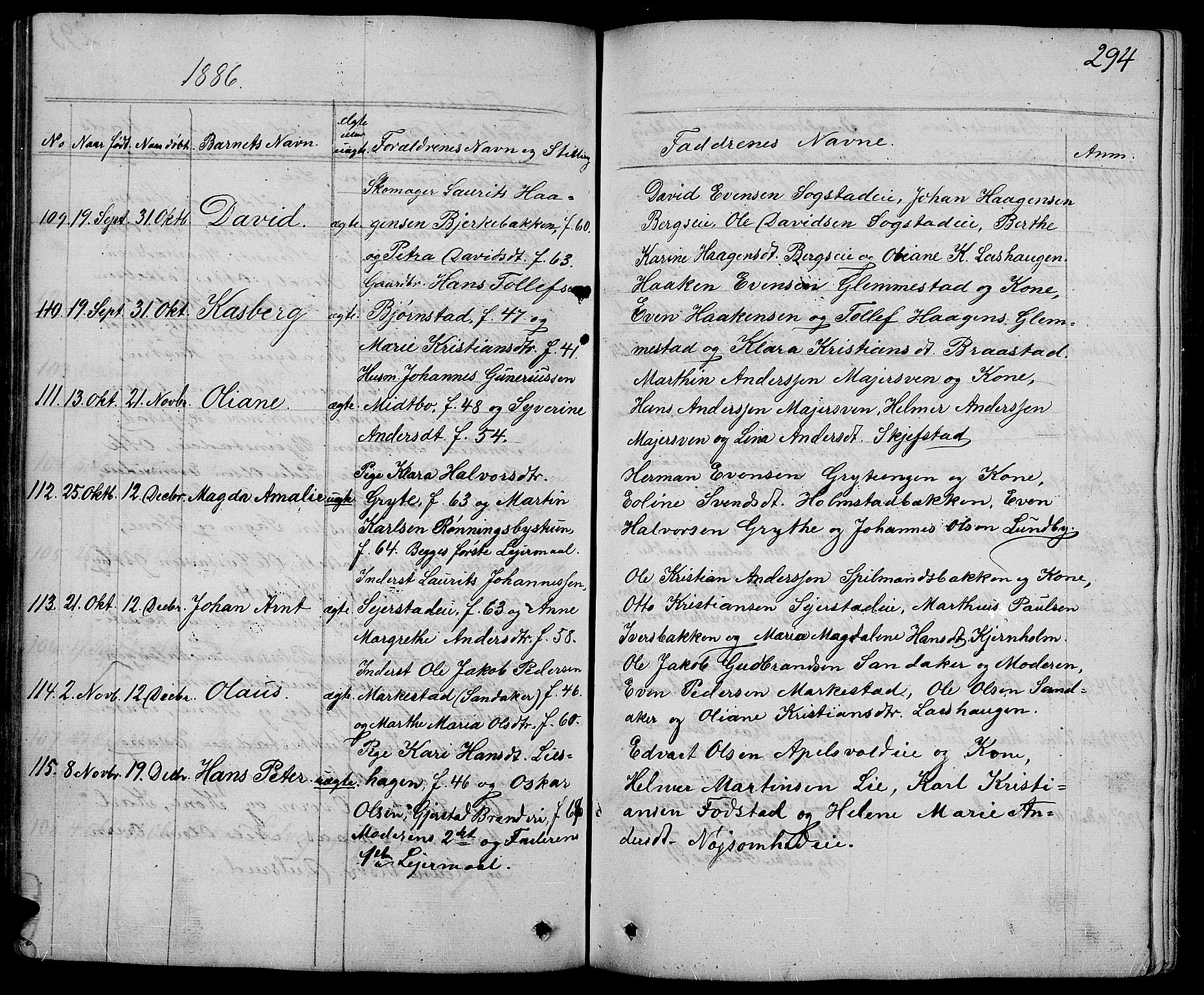 Østre Toten prestekontor, AV/SAH-PREST-104/H/Ha/Hab/L0004: Parish register (copy) no. 4, 1858-1886, p. 294