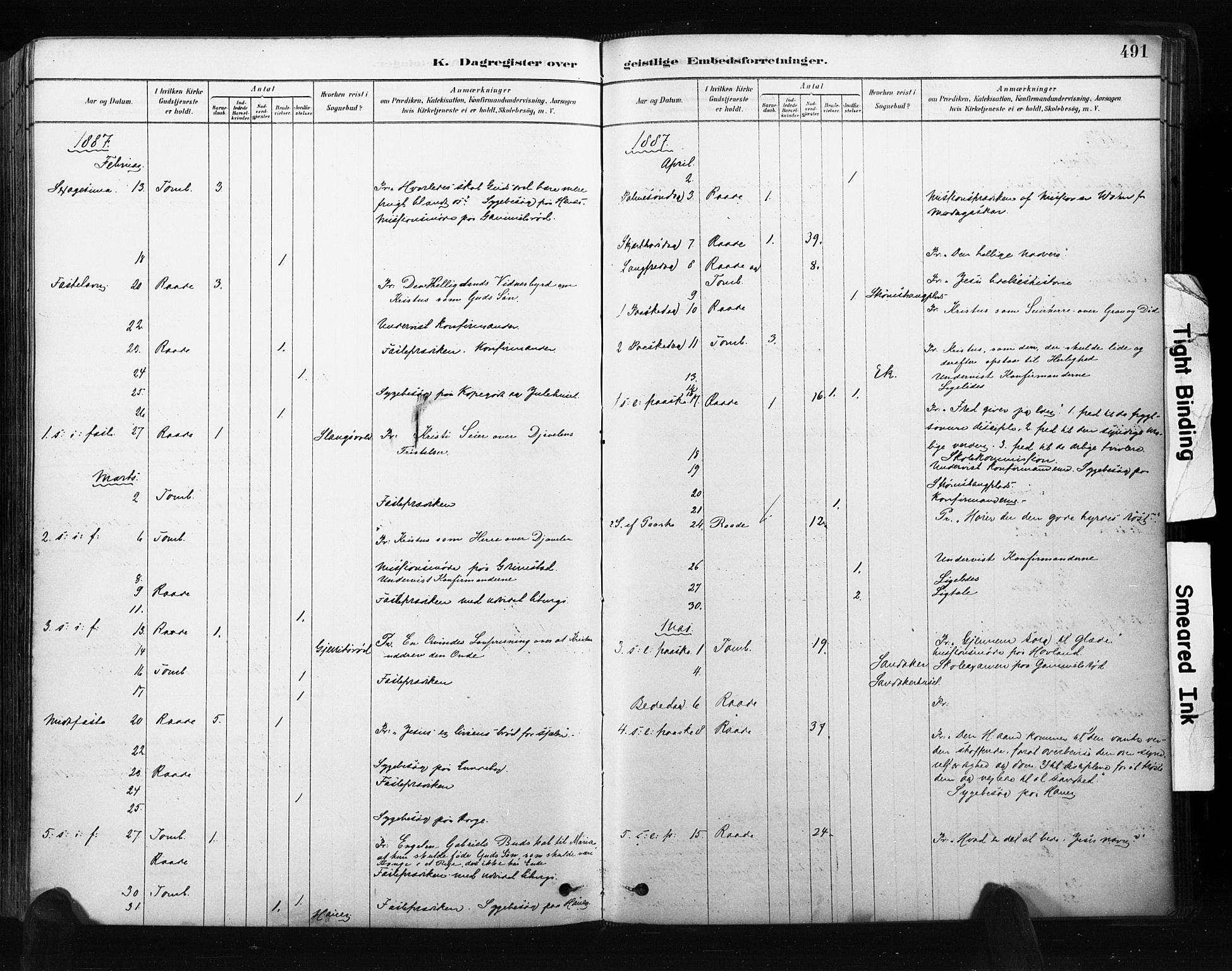 Råde prestekontor kirkebøker, AV/SAO-A-2009/F/Fa/L0007: Parish register (official) no. 7, 1878-1902, p. 491