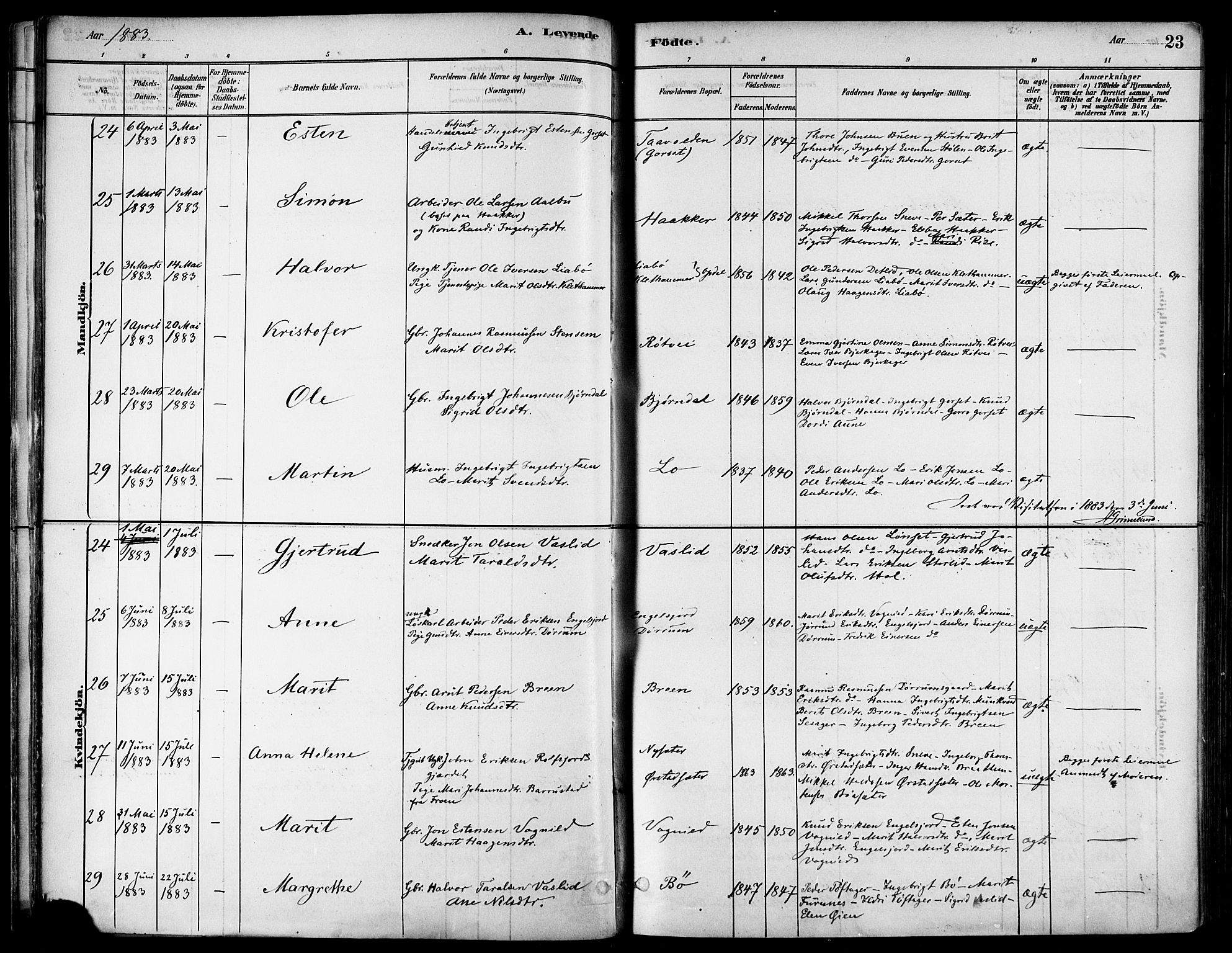 Ministerialprotokoller, klokkerbøker og fødselsregistre - Sør-Trøndelag, AV/SAT-A-1456/678/L0901: Parish register (official) no. 678A10, 1881-1894, p. 23