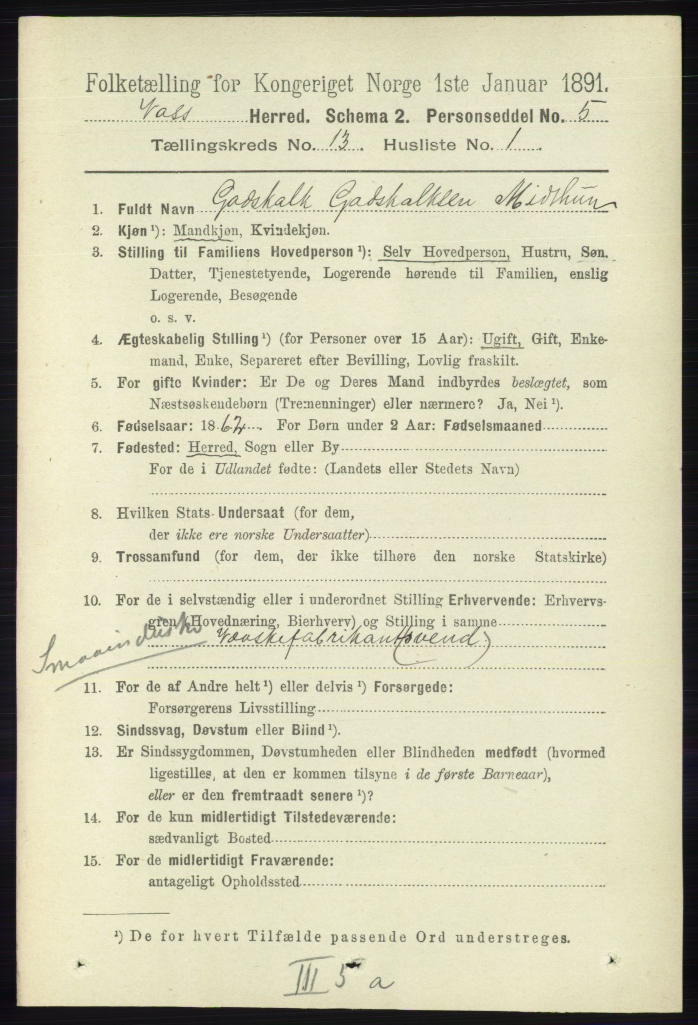 RA, 1891 census for 1235 Voss, 1891, p. 6892