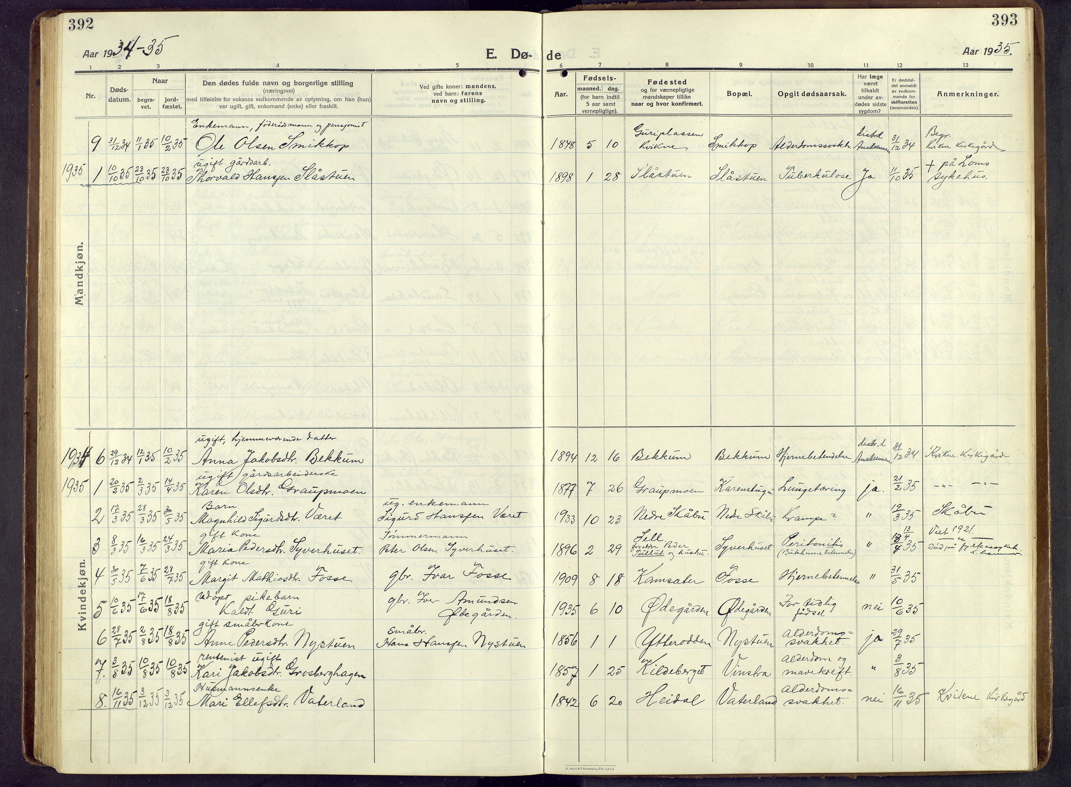 Nord-Fron prestekontor, SAH/PREST-080/H/Ha/Hab/L0009: Parish register (copy) no. 9, 1915-1958, p. 392-393