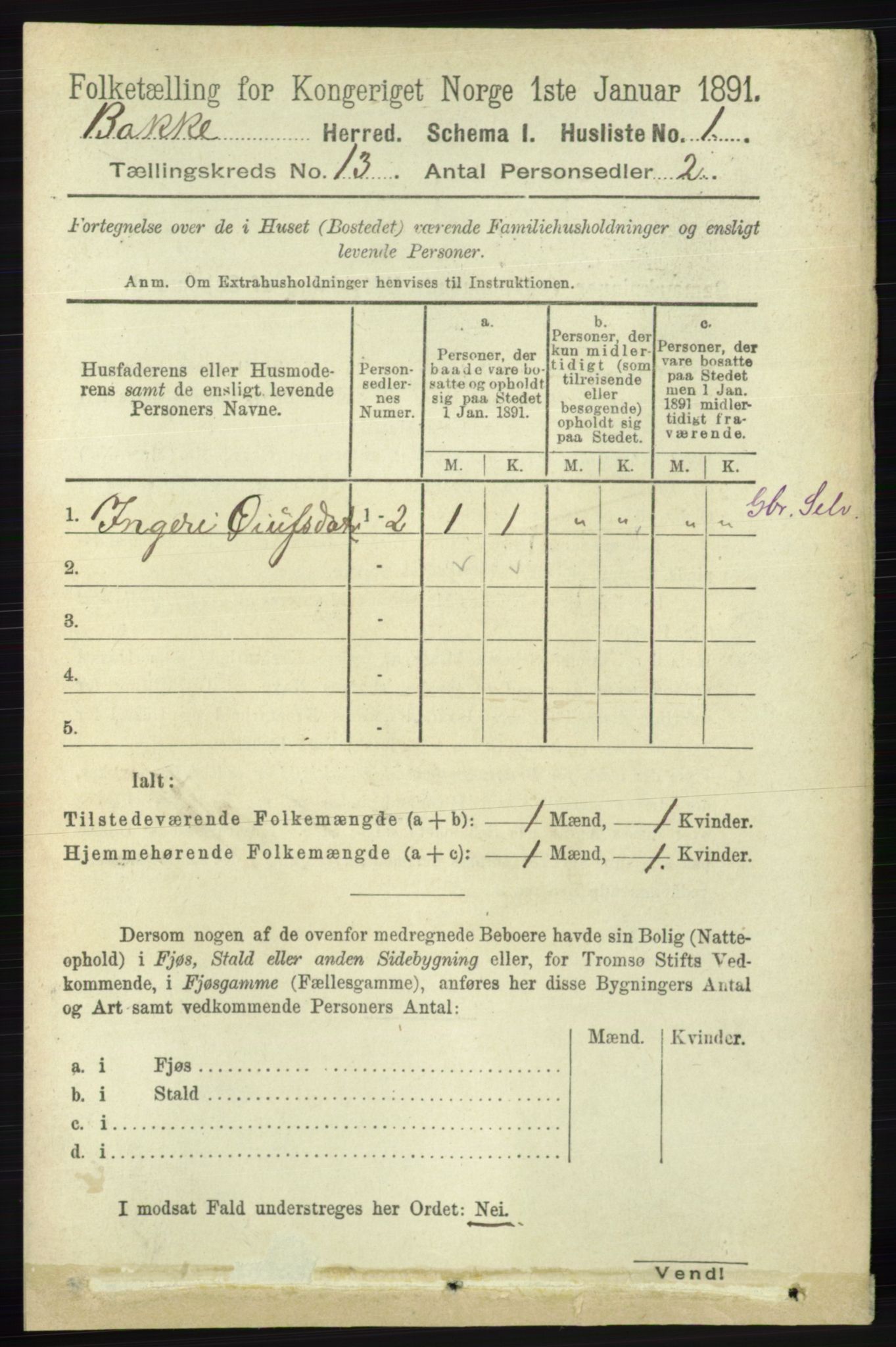 RA, 1891 census for 1045 Bakke, 1891, p. 2669