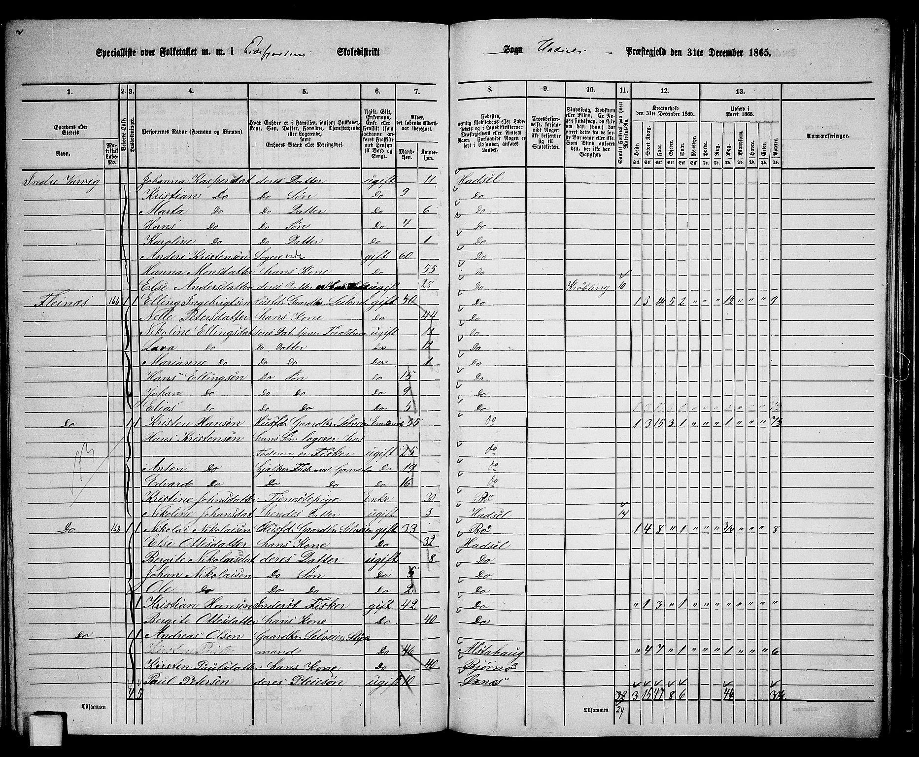 RA, 1865 census for Hadsel, 1865, p. 131