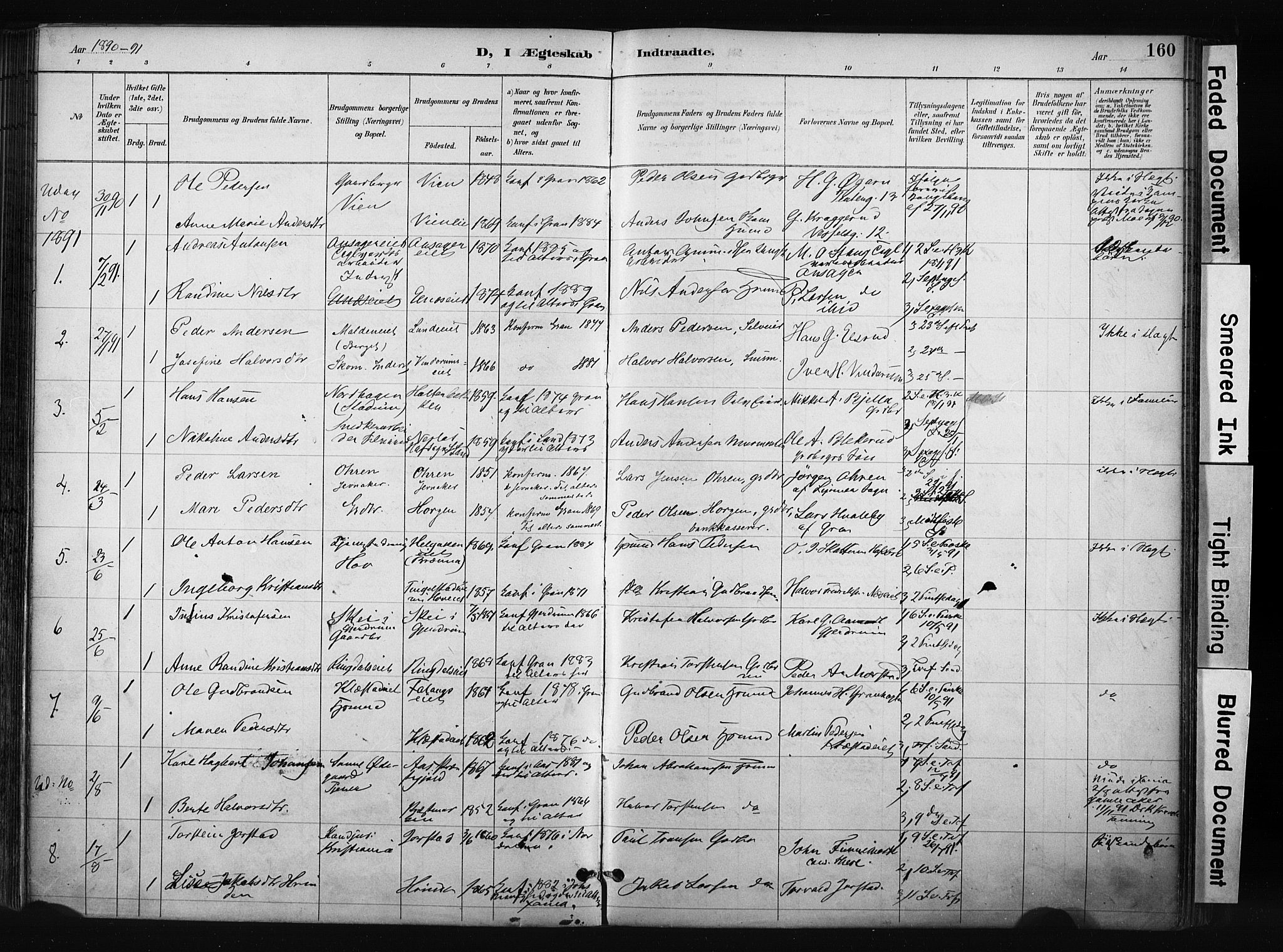 Gran prestekontor, SAH/PREST-112/H/Ha/Haa/L0017: Parish register (official) no. 17, 1889-1897, p. 160