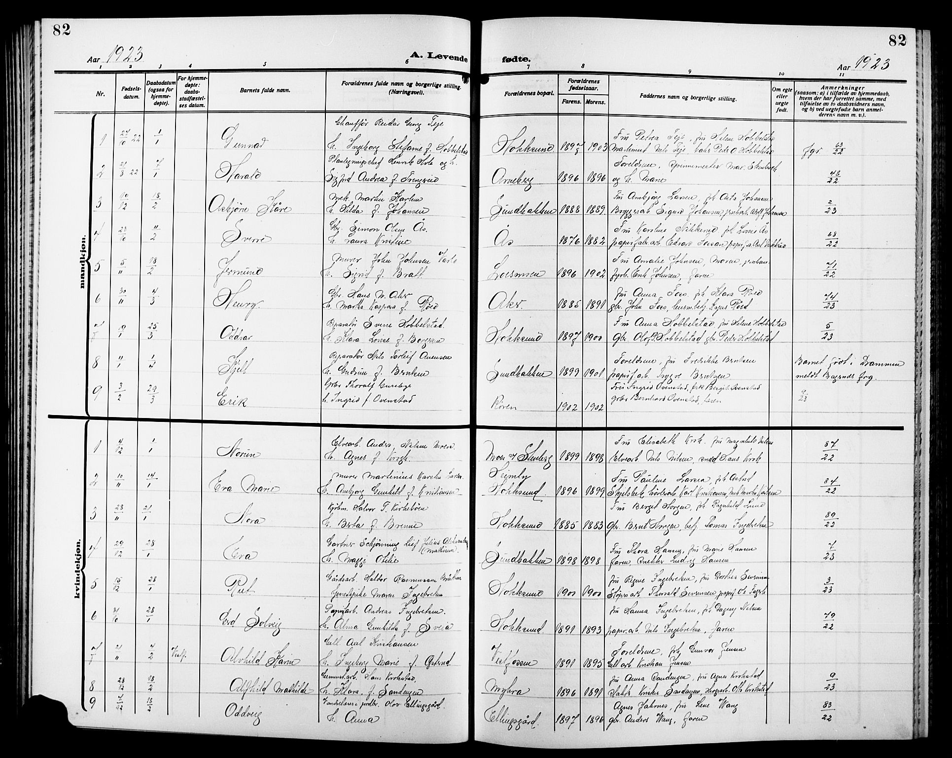 Eiker kirkebøker, AV/SAKO-A-4/G/Ga/L0009: Parish register (copy) no. I 9, 1915-1924, p. 82