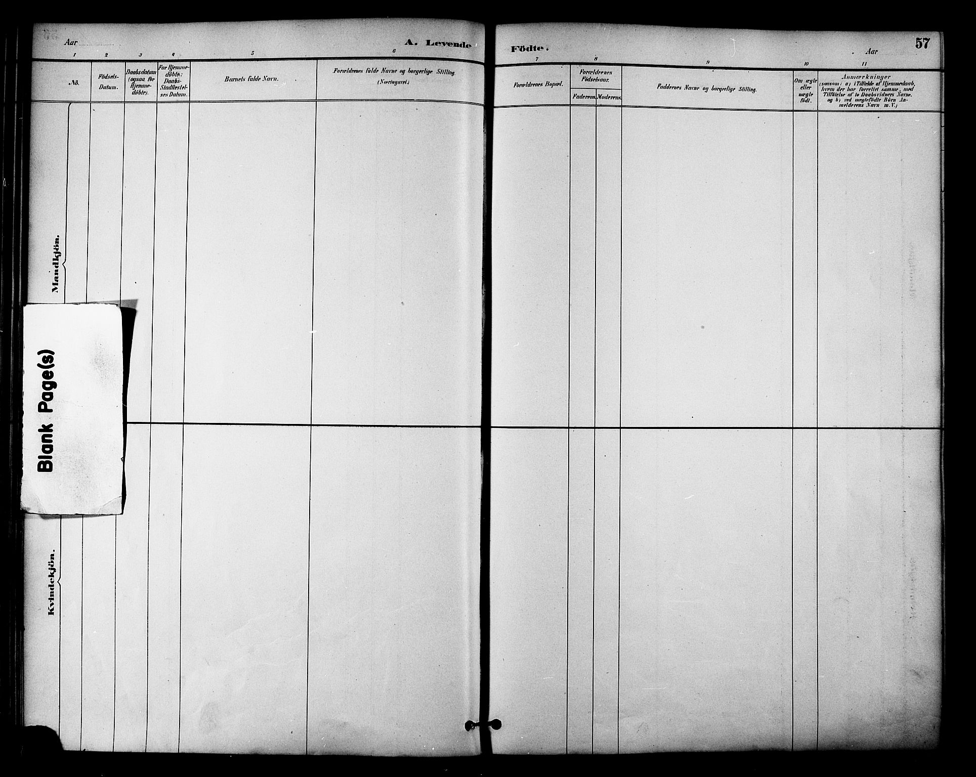 Ministerialprotokoller, klokkerbøker og fødselsregistre - Nordland, AV/SAT-A-1459/810/L0150: Parish register (official) no. 810A10 /1, 1884-1895, p. 57