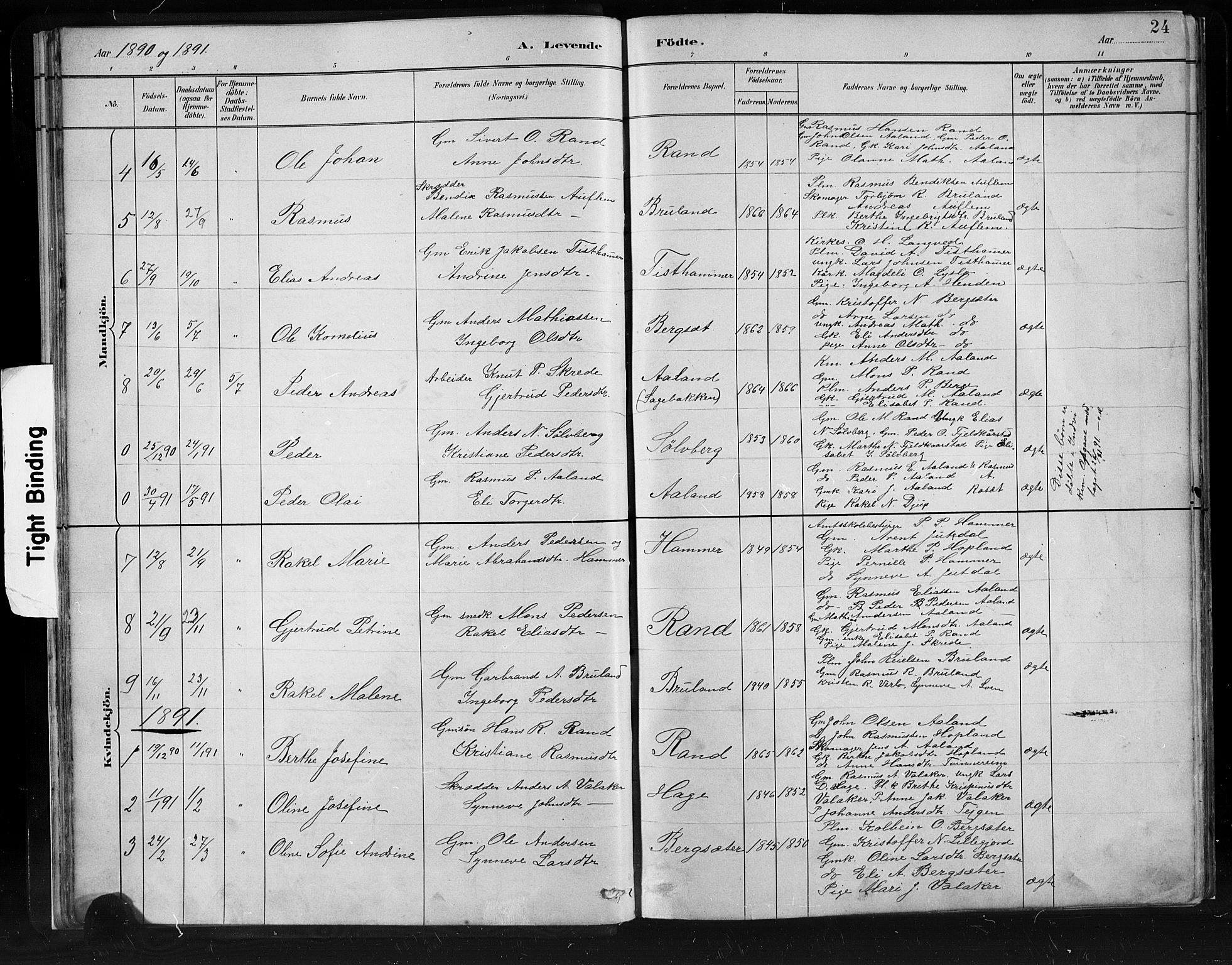 Innvik sokneprestembete, SAB/A-80501: Parish register (copy) no. C 3, 1883-1911, p. 24