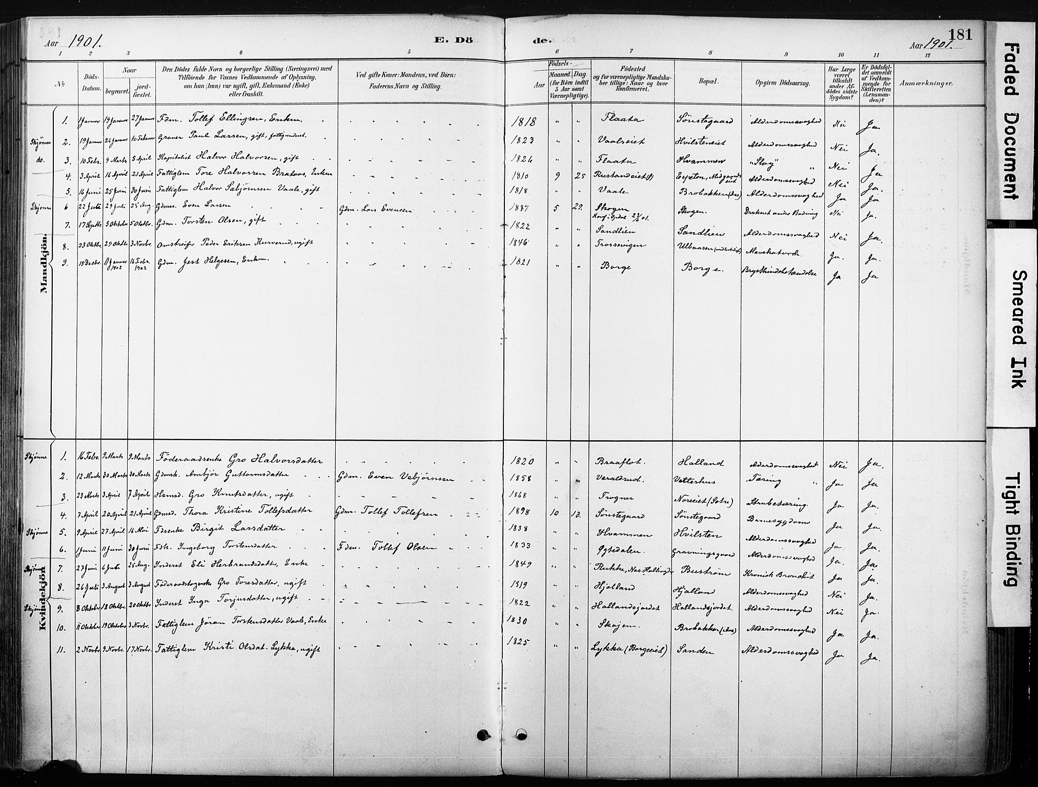 Nore kirkebøker, SAKO/A-238/F/Fb/L0002: Parish register (official) no. II 2, 1886-1906, p. 181