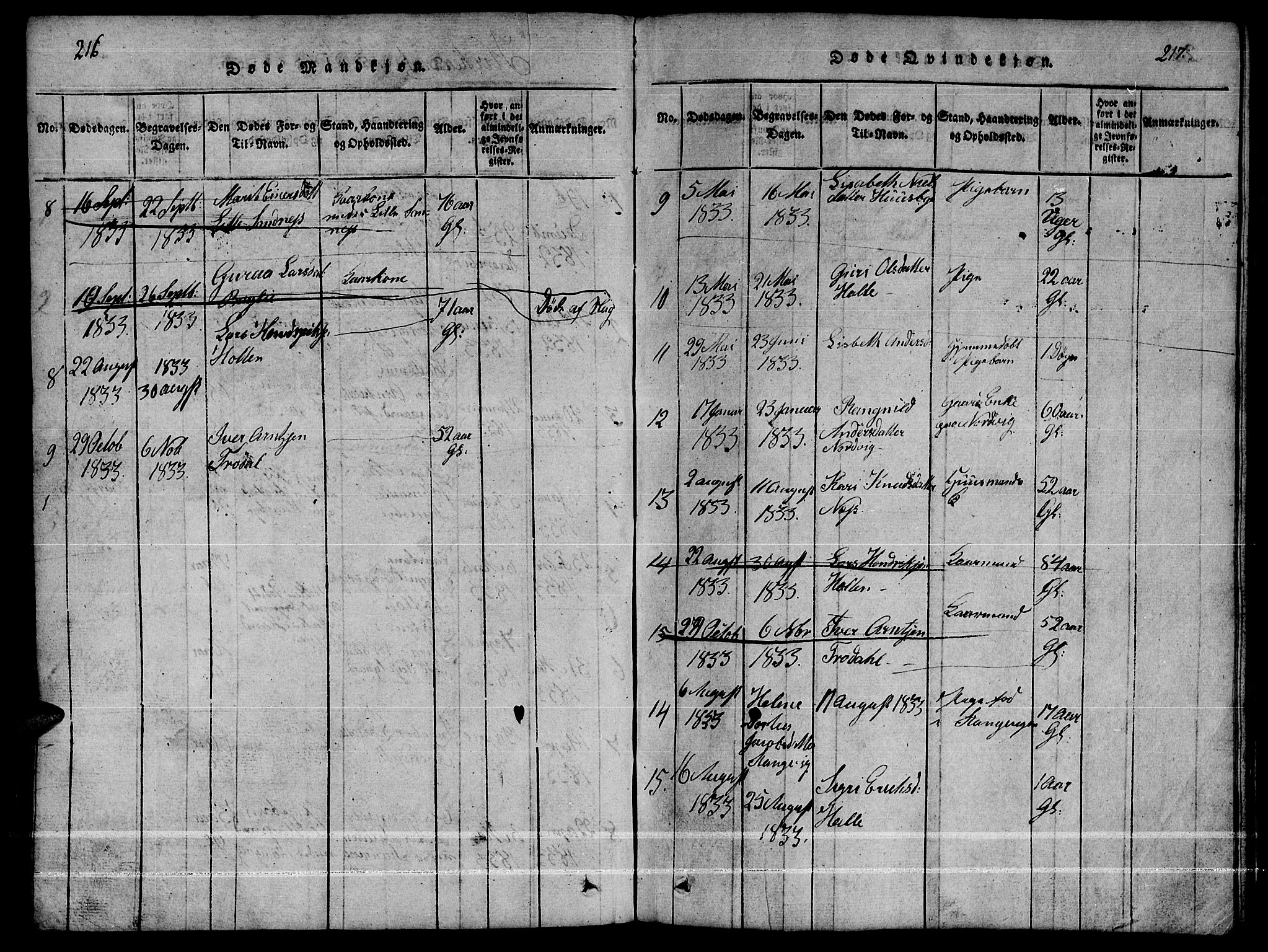 Ministerialprotokoller, klokkerbøker og fødselsregistre - Møre og Romsdal, AV/SAT-A-1454/592/L1031: Parish register (copy) no. 592C01, 1820-1833, p. 216-217