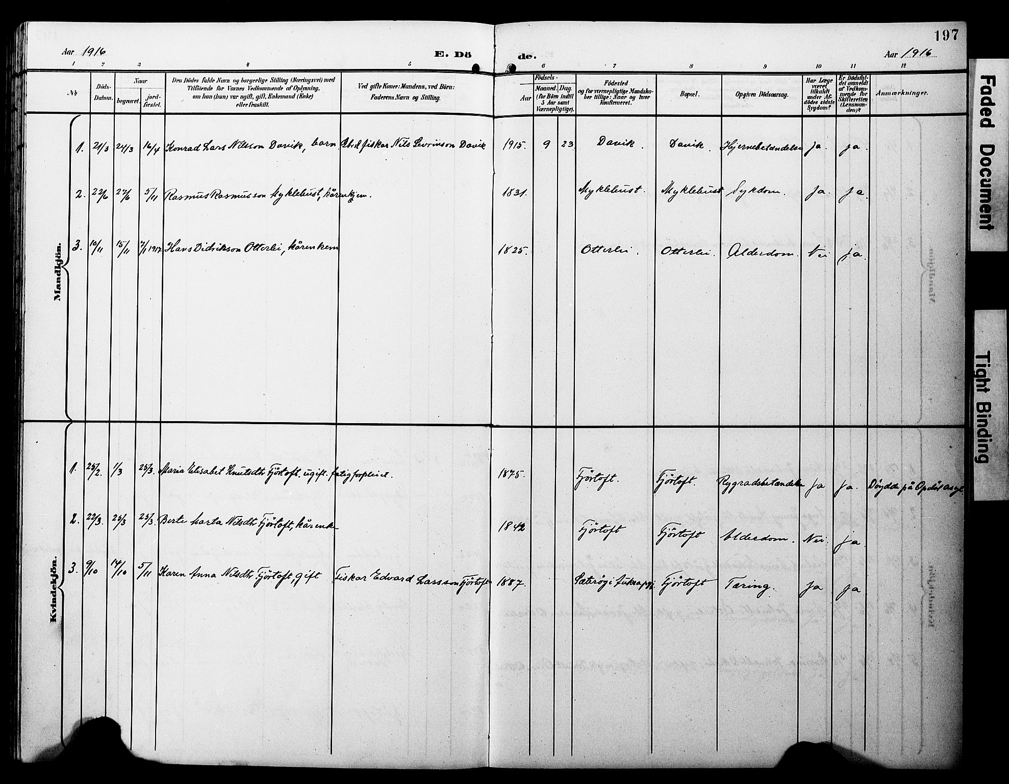 Ministerialprotokoller, klokkerbøker og fødselsregistre - Møre og Romsdal, AV/SAT-A-1454/538/L0524: Parish register (copy) no. 538C02, 1901-1931, p. 197