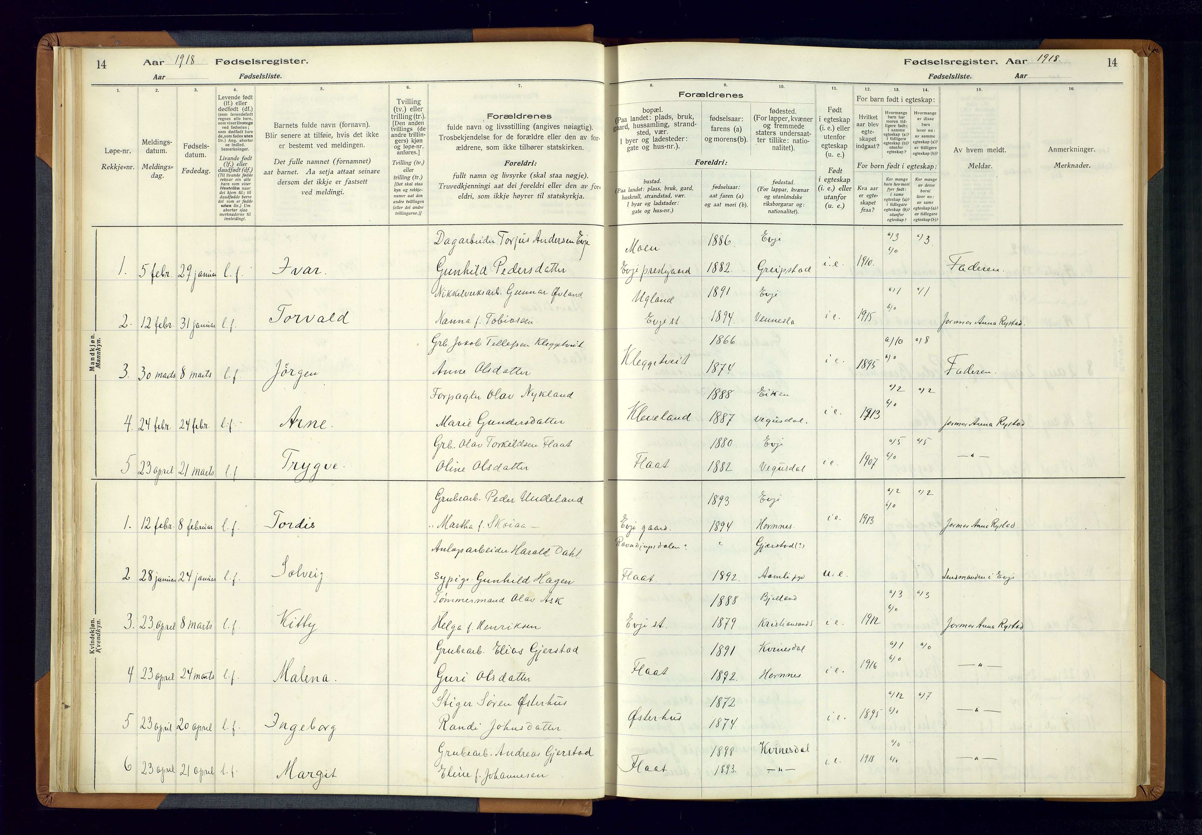 Evje sokneprestkontor, SAK/1111-0008/J/Jc/L0004: Birth register no. 4, 1916-1968, p. 14