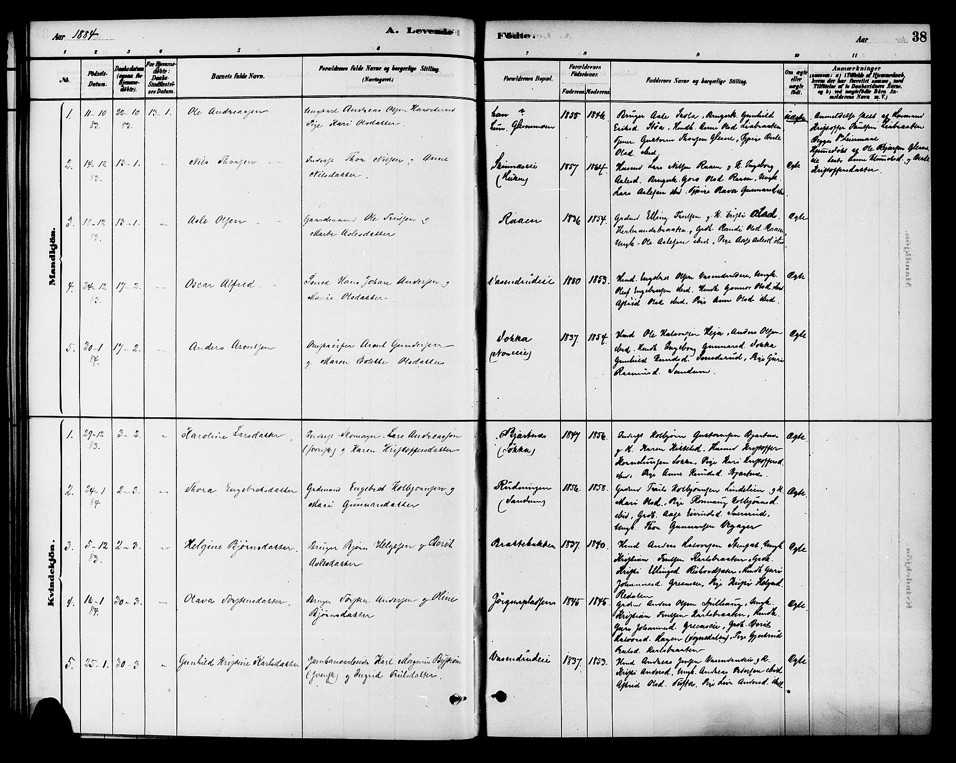 Krødsherad kirkebøker, SAKO/A-19/G/Ga/L0001: Parish register (copy) no. 1, 1879-1893, p. 38