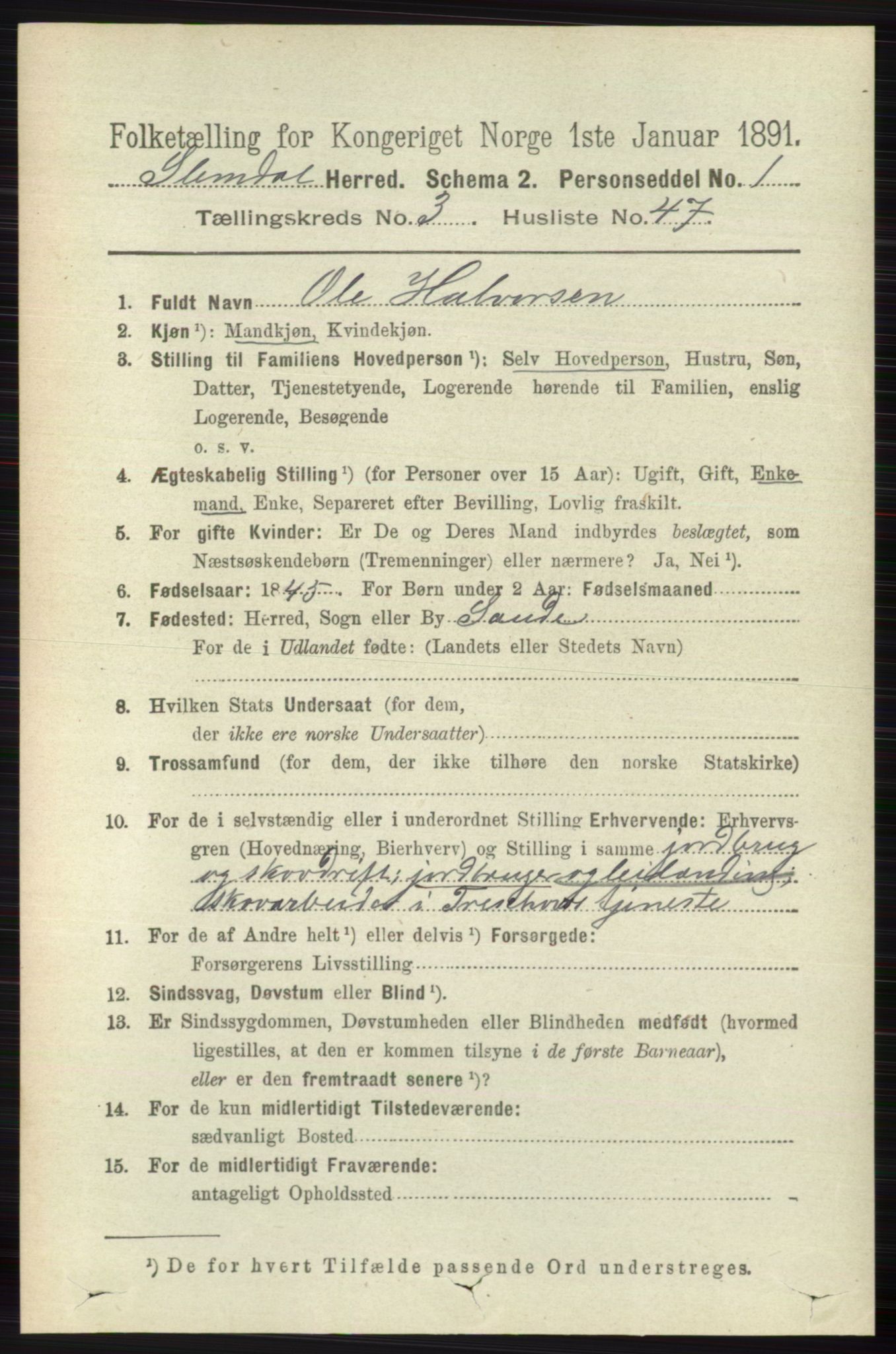 RA, 1891 census for 0811 Slemdal, 1891, p. 1039