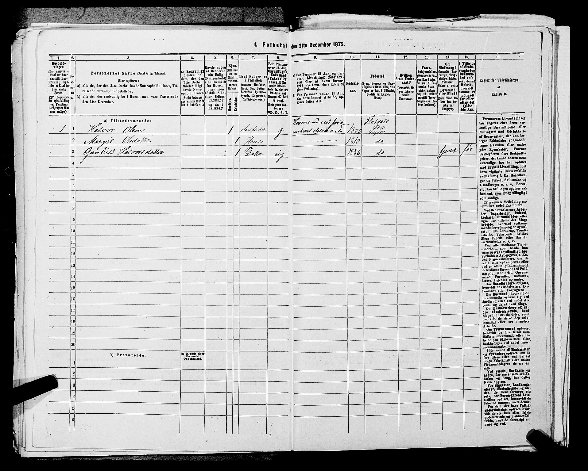 SAKO, 1875 census for 0828P Seljord, 1875, p. 1365