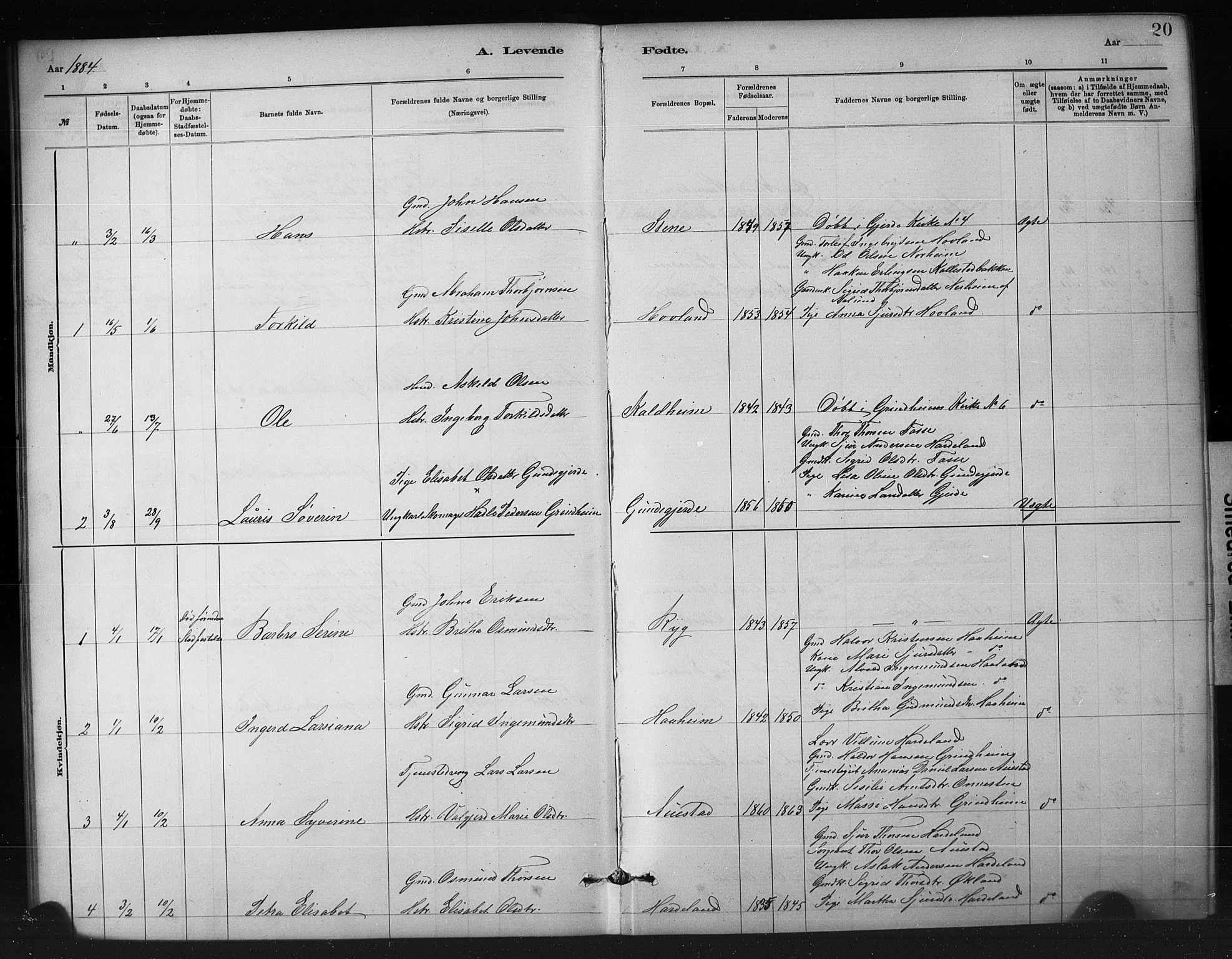Etne sokneprestembete, SAB/A-75001/H/Hab: Parish register (copy) no. A 5, 1879-1896, p. 20
