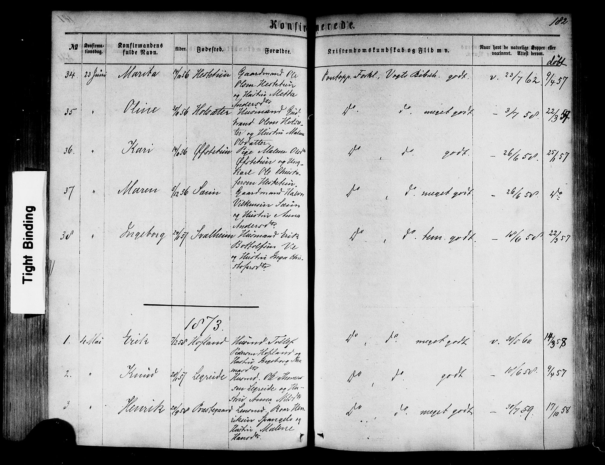 Årdal sokneprestembete, SAB/A-81701: Parish register (official) no. A 3, 1863-1886, p. 182