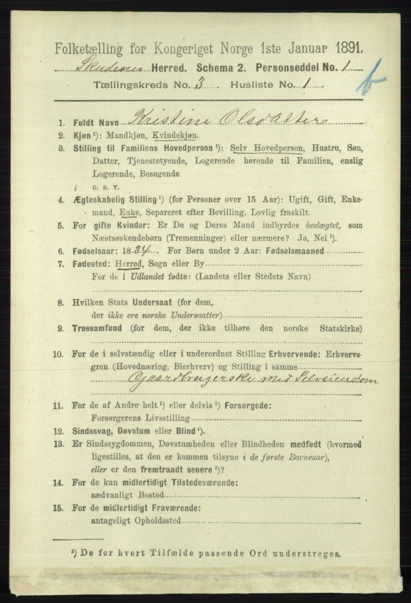 RA, 1891 census for 1150 Skudenes, 1891, p. 3998