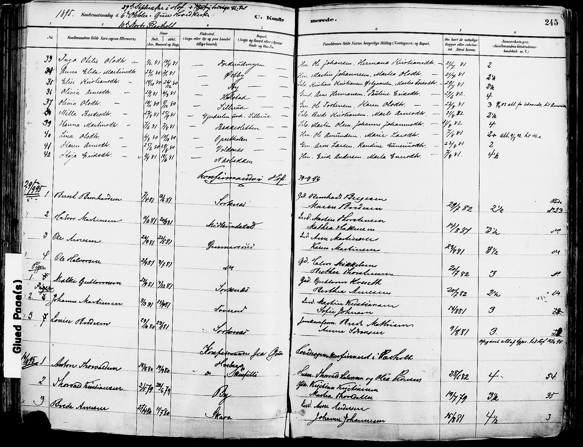 Grue prestekontor, AV/SAH-PREST-036/H/Ha/Haa/L0012: Parish register (official) no. 12, 1881-1897, p. 245