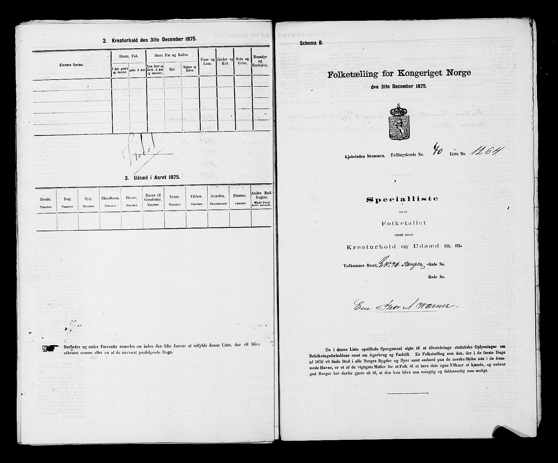 SAKO, 1875 census for 0602 Drammen, 1875, p. 3460