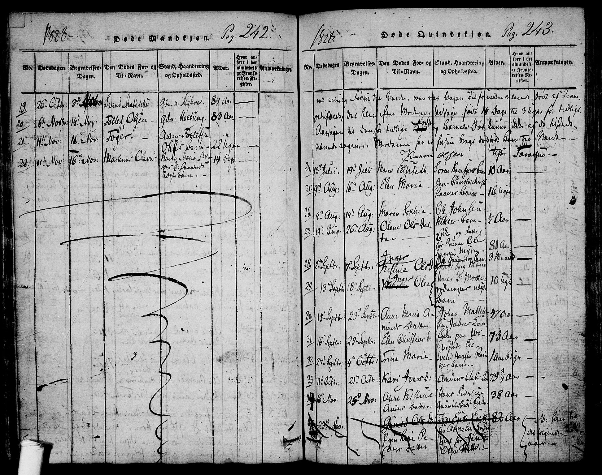 Ramnes kirkebøker, AV/SAKO-A-314/F/Fa/L0004: Parish register (official) no. I 4, 1813-1840, p. 242-243