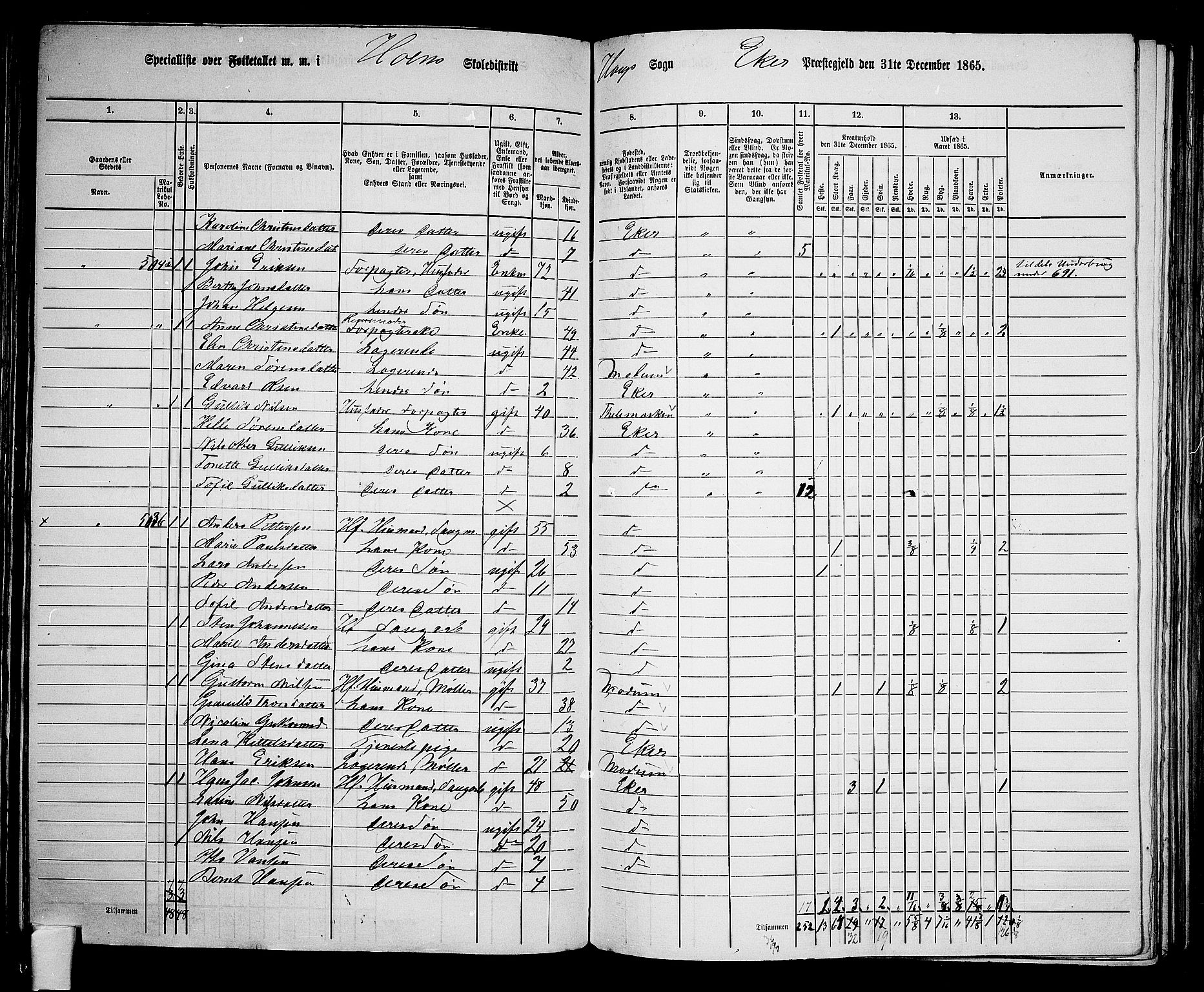 RA, 1865 census for Eiker, 1865, p. 132