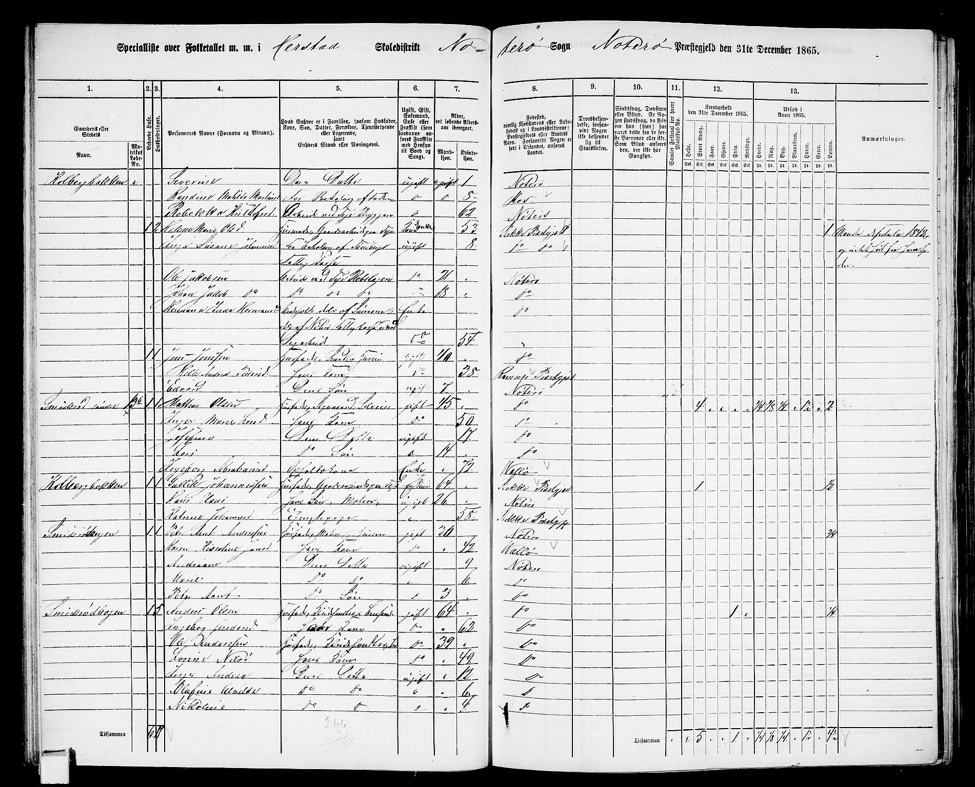 RA, 1865 census for Nøtterøy, 1865, p. 48