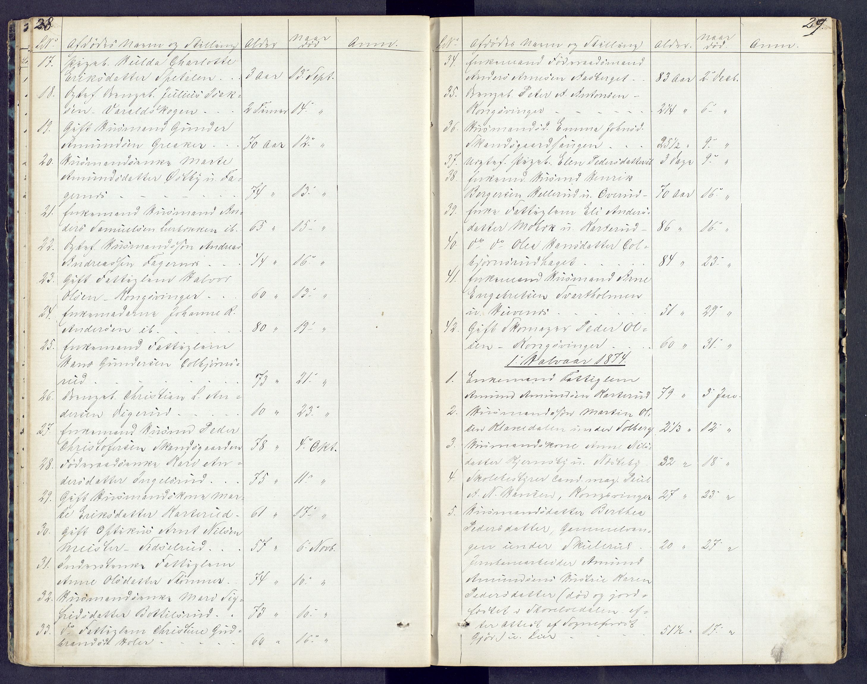 Vinger og Odal sorenskriveri, AV/SAH-TING-022/J/Jf/L0003: Dødsfallsprotokoll - Vinger og Eidskog, 1867-1881, p. 28-29