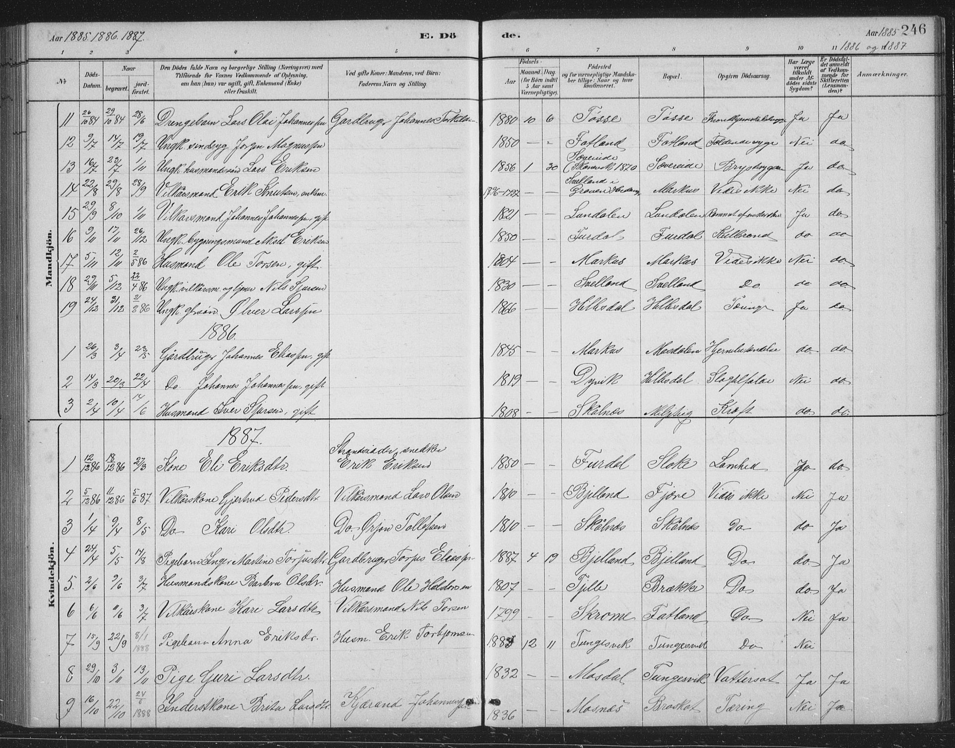 Skånevik sokneprestembete, SAB/A-77801/H/Hab: Parish register (copy) no. B 2, 1881-1920, p. 246