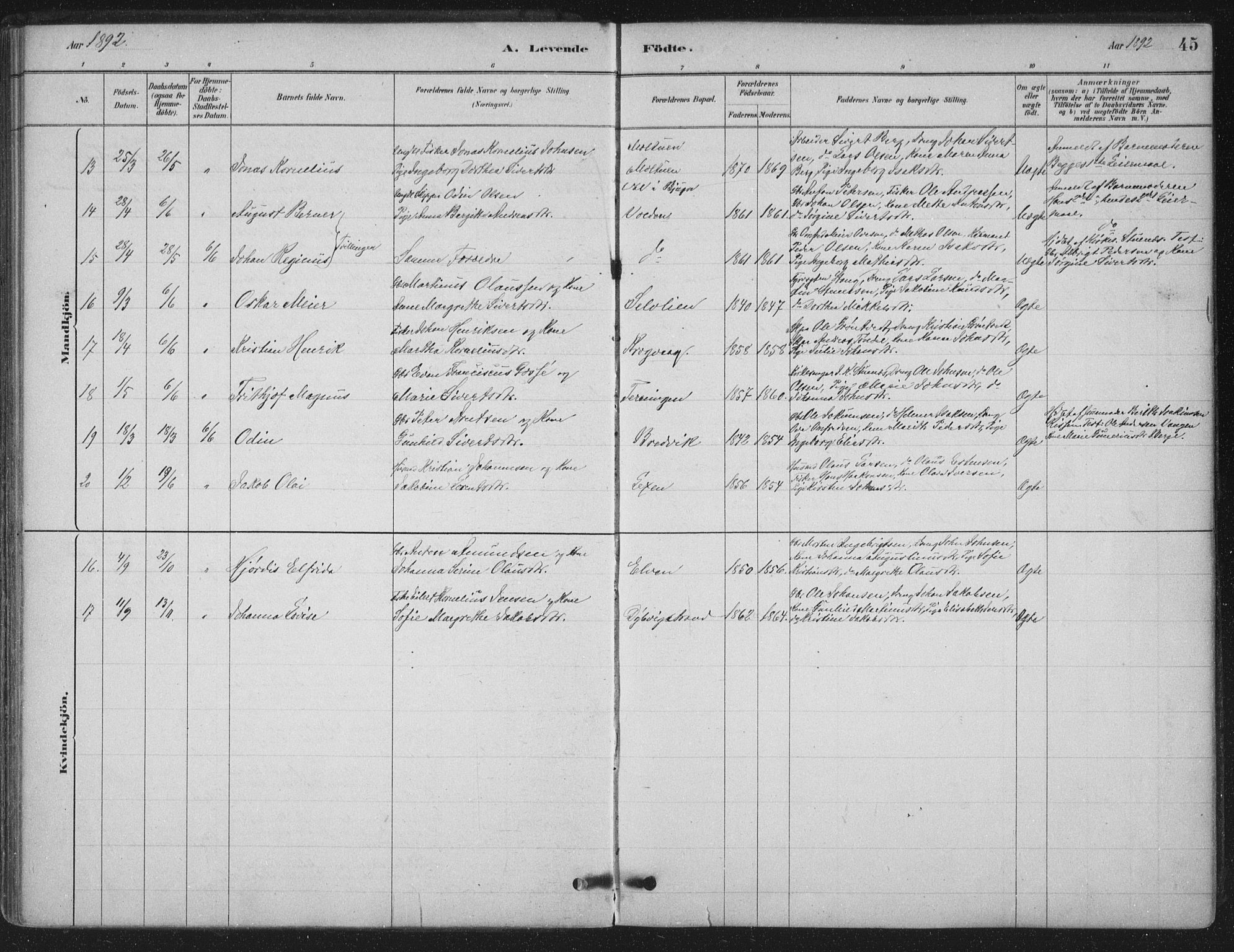 Ministerialprotokoller, klokkerbøker og fødselsregistre - Sør-Trøndelag, AV/SAT-A-1456/662/L0755: Parish register (official) no. 662A01, 1879-1905, p. 45