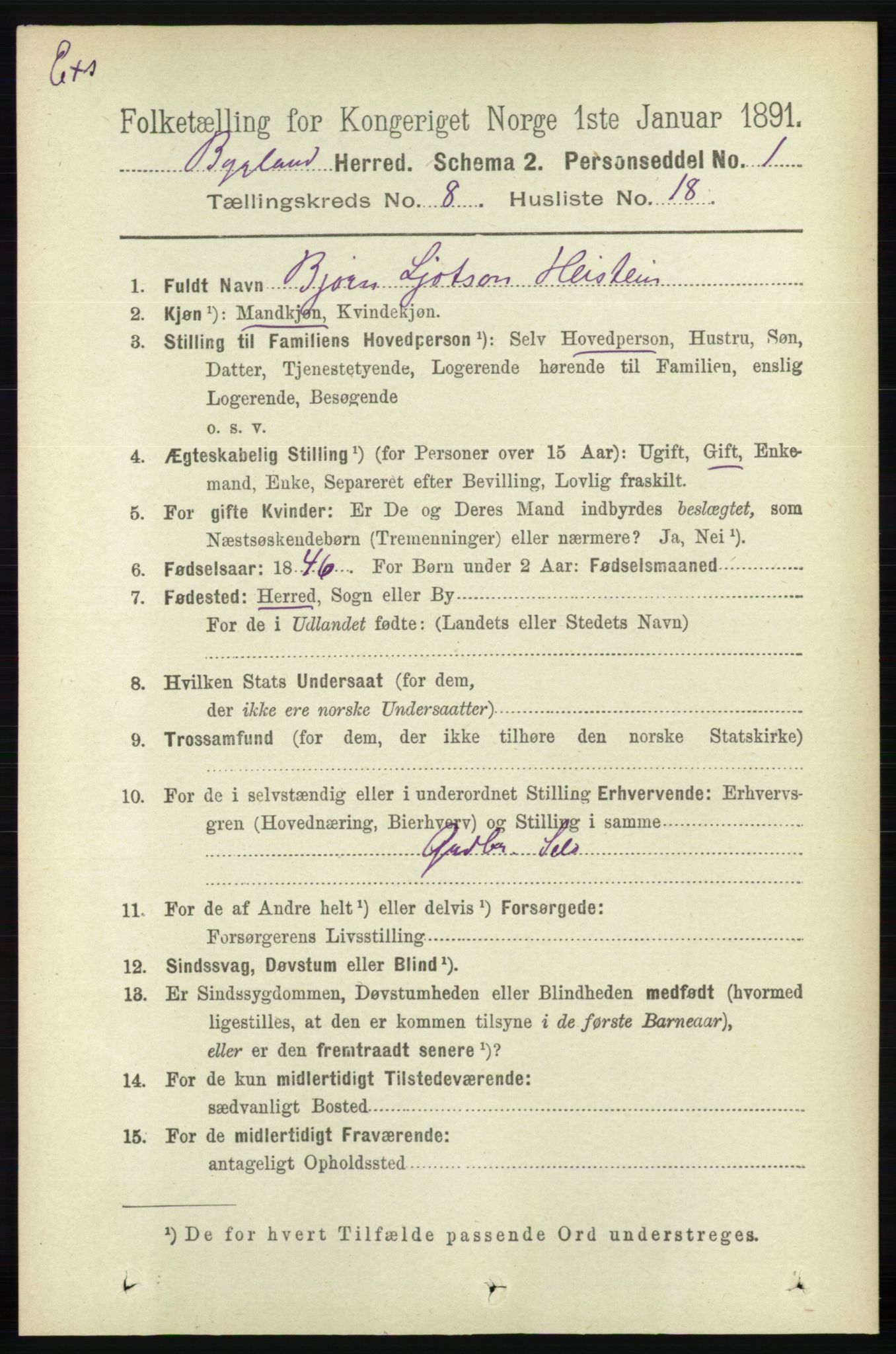 RA, Census 1891 for Nedenes amt: Gjenparter av personsedler for beslektede ektefeller, menn, 1891, p. 1036