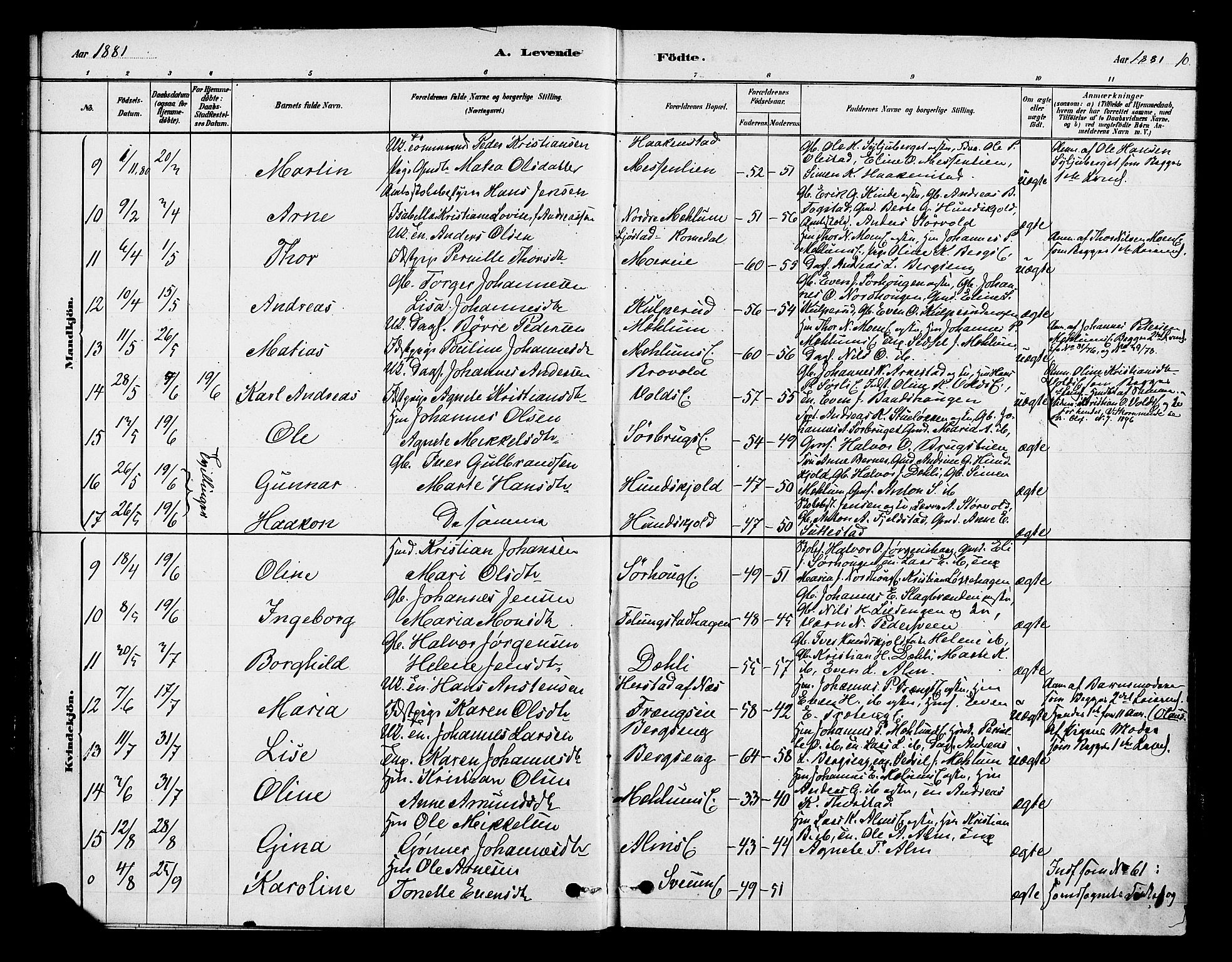 Ringsaker prestekontor, SAH/PREST-014/K/Ka/L0013: Parish register (official) no. 13, 1879-1890, p. 10