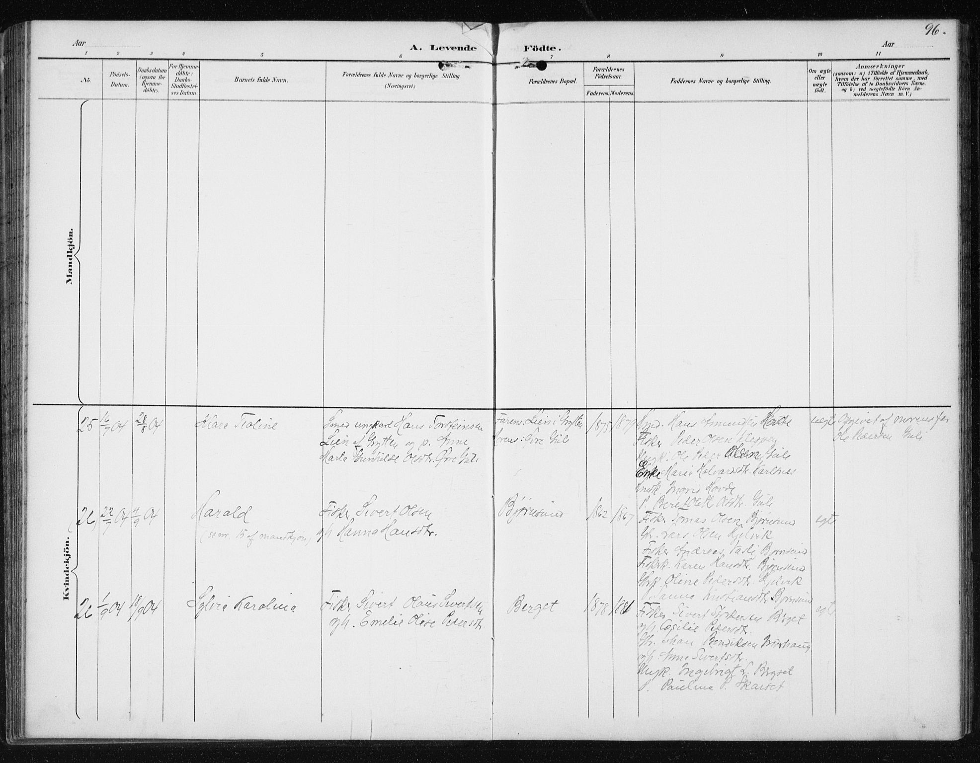 Ministerialprotokoller, klokkerbøker og fødselsregistre - Møre og Romsdal, AV/SAT-A-1454/566/L0773: Parish register (copy) no. 566C02, 1892-1909, p. 96