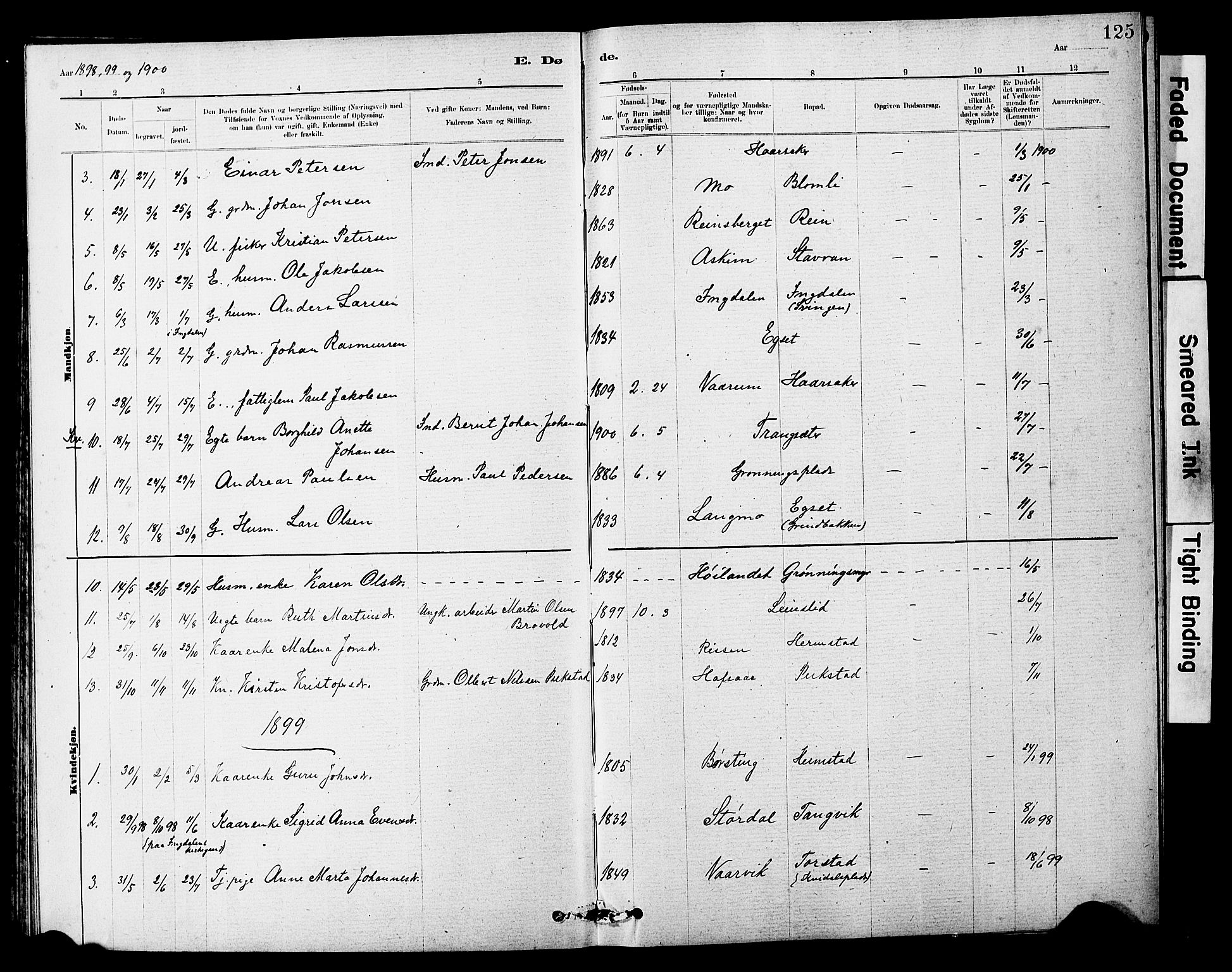Ministerialprotokoller, klokkerbøker og fødselsregistre - Sør-Trøndelag, SAT/A-1456/646/L0628: Parish register (copy) no. 646C01, 1880-1903, p. 125